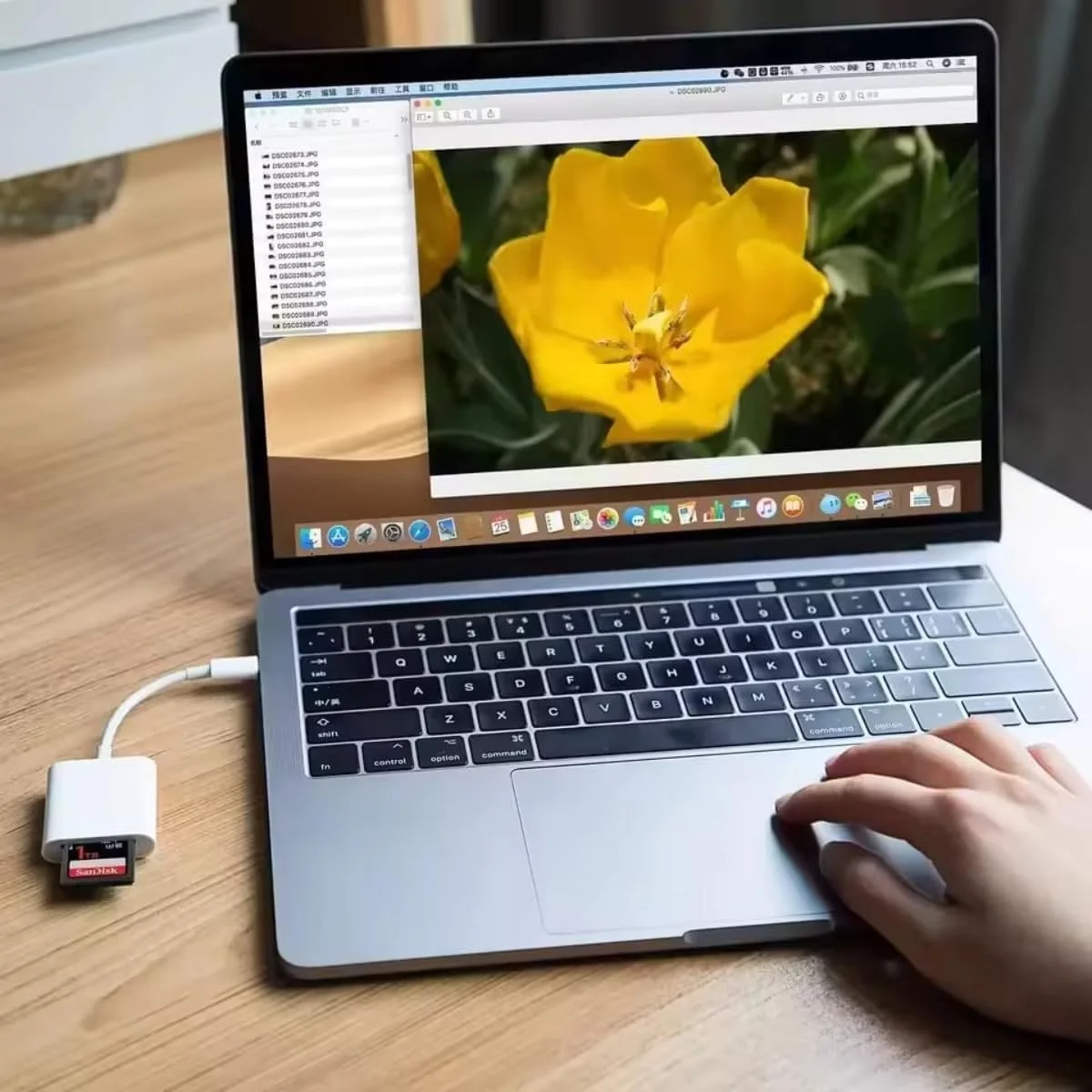 کارت خوان دو منظوره USB-C برای آیفون 15، انتقال فوق سریع 170 مگابایت بر ثانیه، سازگار با SD/Micro SD/SDHC/SDXC/MMC، کارکرد با مک بوک، آیپد، سامسونگ و غیره کارت خوان دو منظوره USB-C برای آیفون 15، انتقال فوق سریع 170 مگابایت بر ثانیه، سازگار با SD/Micro SD/SDHC/SDXC/MMC، کارکرد با مک بوک، آیپد، سامسونگ و غیره