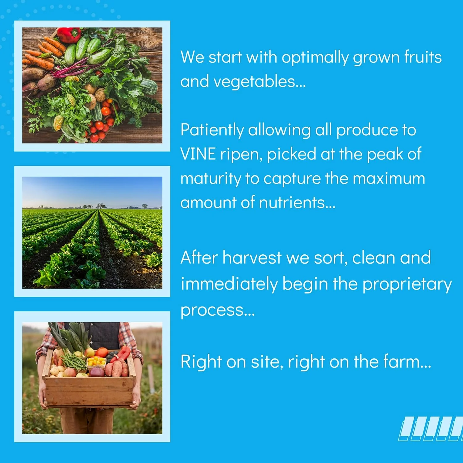 مکمل غذایی سبزیجات مگا ترژر نیچر کانسالت هلث - 60 کپسول سبزیجات - سوپرفود سبز - وگان - 100٪ تغذیه گیاهی