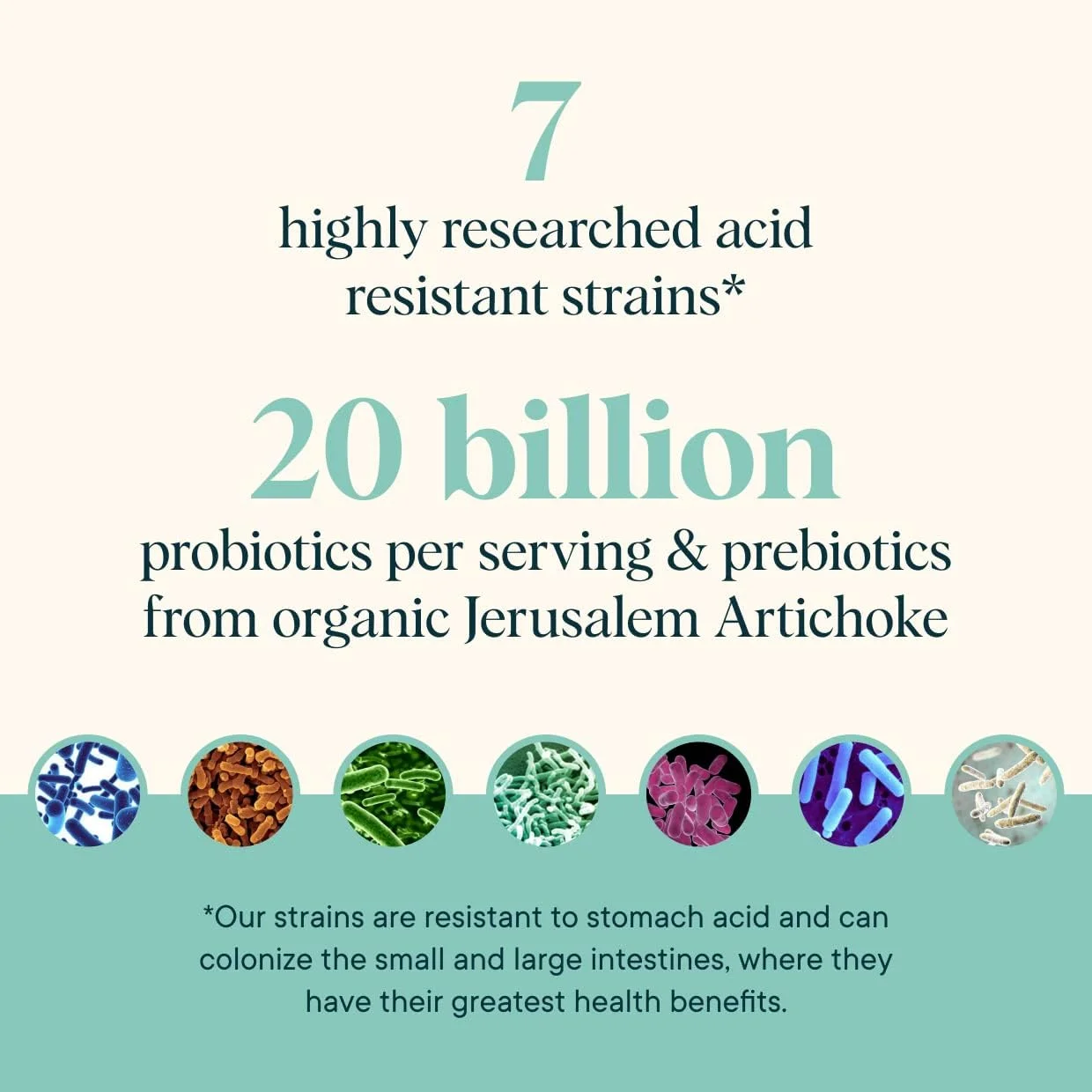 مکمل پودری پری بیوتیک و پروبیوتیک ارگانیک Ora - 20 میلیارد پروبیوتیک، 7 سویه برای بهترین پودر پری بیوتیک، غیر GMO، پروبیوتیک برای زنان، مردان و کودکان - طعم لیموناد اسطوخودوس، 30 سروینگ