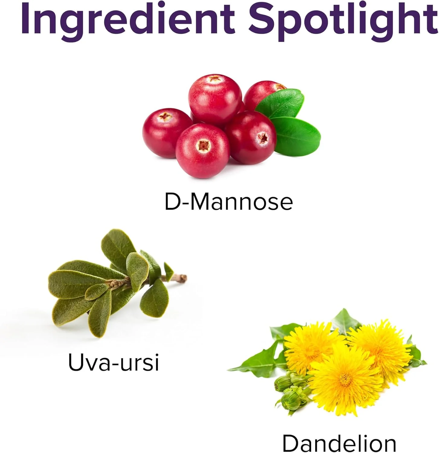 قرص های سلامت دستگاه ادراری Vibrant Health، 50 عدد