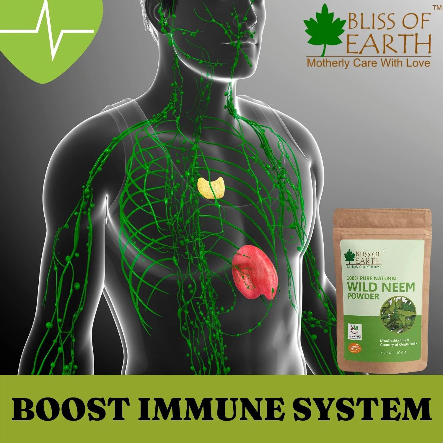 پودر برگ های چریش وحشی خالص بلیس آو ارث، 4 بسته 100 گرمی | عالی برای صورت، مو، پوست و بدن پودر برگ های چریش وحشی خالص بلیس آو ارث، 4 بسته 100 گرمی | عالی برای صورت، مو، پوست و بدن