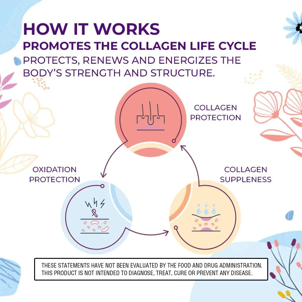 پودر پپتیدهای کلاژن پیشرفته زیبایی جوانی بادی کیچن برای مو، پوست و ناخن های زیبا، رزوراترول و اسید هیالورونیک برای حمایت آنتی اکسیدانی و ضد پیری، تغذیه شده با علف (بسته 2 عددی)