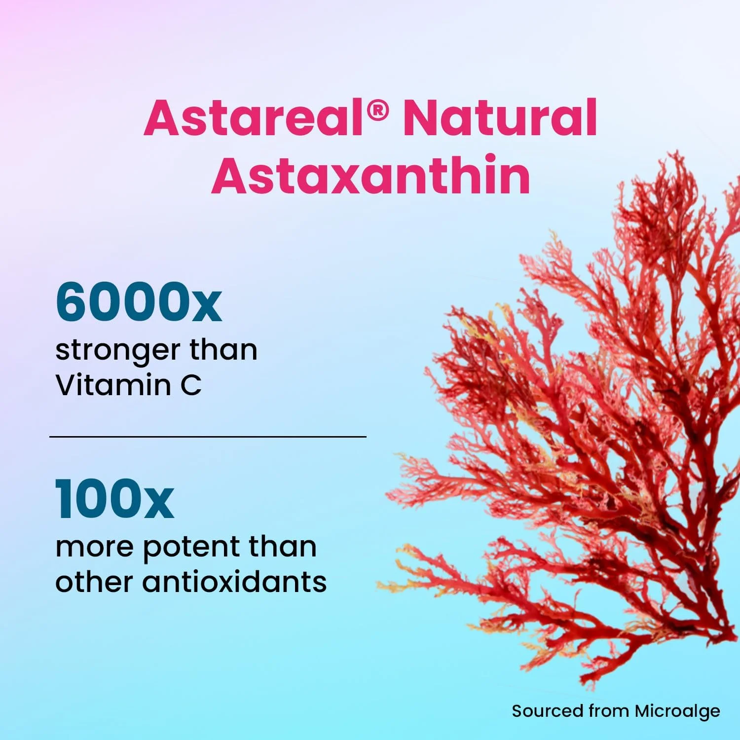 کلاژن قوی CHICNUTRIX - حاوی 8 گرم پپتیدهای کلاژن دریایی ژاپنی + 2 میلی گرم آستاگزانتین | پوست جوان، استخوان ها و مفاصل سالم