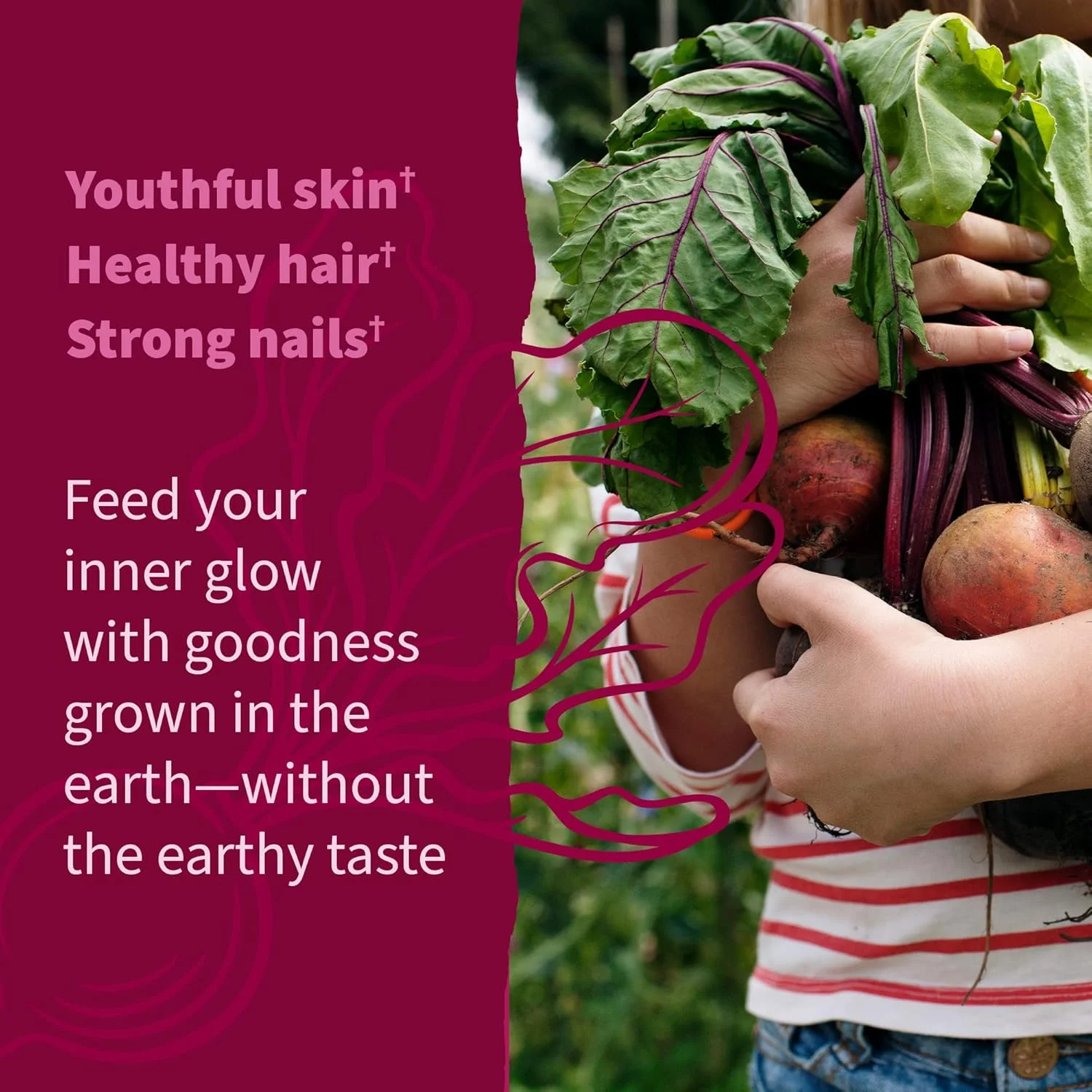 پاستیل ریشه چغندر ارگانیک گاردن آف لایف حاوی پکتین با آنتی اکسیدان ها، ویتامین C، بیوتین و B12 برای مو، پوست و ناخن - پاستیل های زیبایی چغندر - وگان، بدون گلوتن، غیر GMO، تمشک، 30 سروینگ