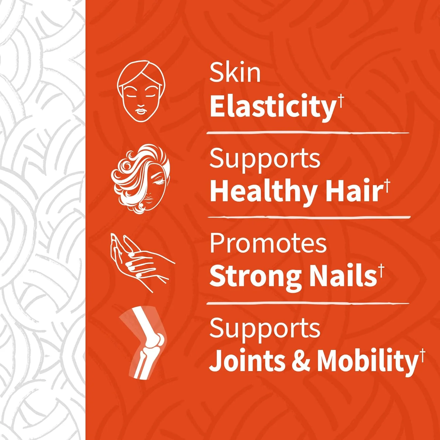 پودر مکمل پپتیدهای کلاژن دریایی و تغذیه شده با علف Garden of Life (نوع I، III) با پروبیوتیک ها و BCAA برای تحرک، سلامت مفاصل، مو، پوست و ناخن - بدون طعم، 20 گرم در هر وعده، 12 وعده