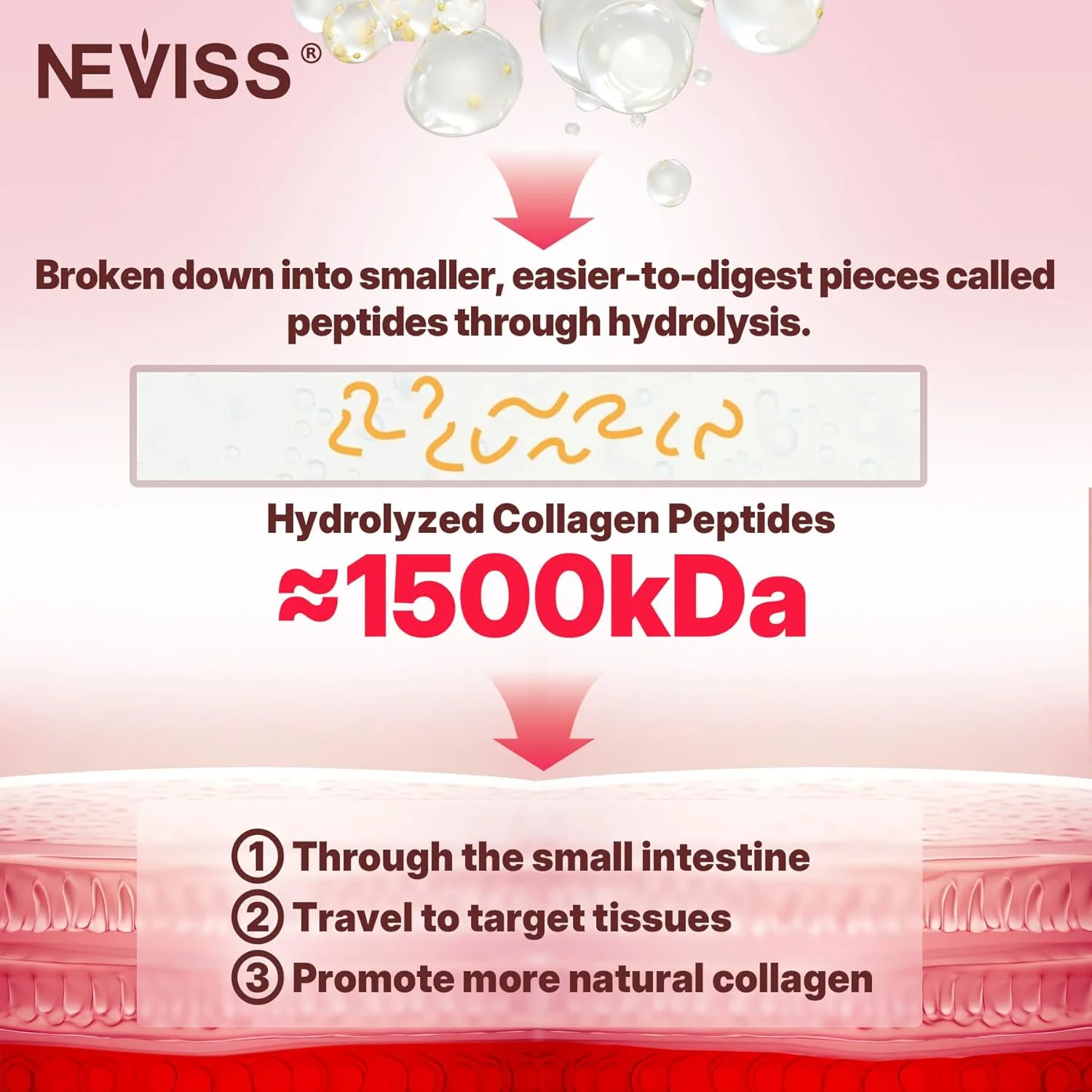 پاستیل پپتیدهای کلاژن هیدرولیز شده، پاستیل کلاژن برای زنان و مردان با پپتیدهای کلاژن چندگانه نوع I II III V و X، بیوتین، کراتین و ویتامین D3 برای پوست، مو، ناخن و استخوان سالم، 1 بسته پاستیل پپتیدهای کلاژن هیدرولیز شده، پاستیل کلاژن برای زنان و مردان با پپتیدهای کلاژن چندگانه نوع I II III V و X، بیوتین، کراتین و ویتامین D3 برای پوست، مو، ناخن و استخوان سالم، 1 بسته