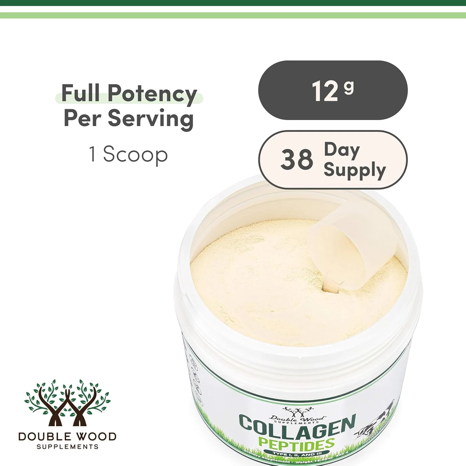 پودر پروتئین پپتیدهای کلاژن هیدرولیز شده - کتو - 480 میلی لیتر - چند نوع 1، 2 و 3 (منبع گاوی تغذیه شده با علف) برای زنان و مردان، بدون طعم - بدون کلوخه به همراه پیمانه پودر پروتئین پپتیدهای کلاژن هیدرولیز شده - کتو - 480 میلی لیتر - چند نوع 1، 2 و 3 (منبع گاوی تغذیه شده با علف) برای زنان و مردان، بدون طعم - بدون کلوخه به همراه پیمانه