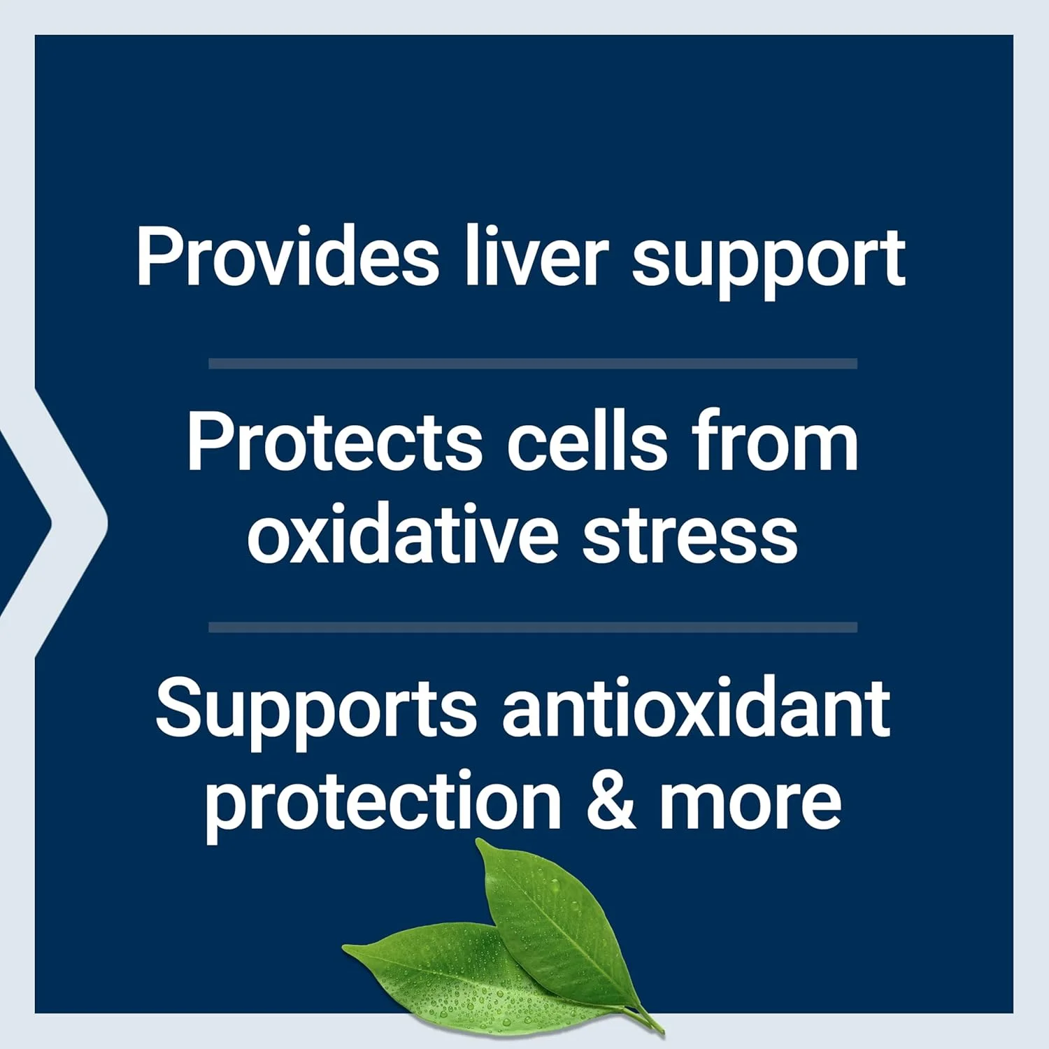 مکمل گلوتاتیون سیستئین و آنتی اکسیدان C لایف اکستنشن با ویتامین C، آمینو اسیدها و ال-سیستئین برای حمایت از سیستم ایمنی و کبد، سم زدایی و روشن کننده پوست، ضد پیری، فاقد گلوتن و غیر تراریخته، 100 کپسول مکمل گلوتاتیون سیستئین و آنتی اکسیدان C لایف اکستنشن با ویتامین C، آمینو اسیدها و ال-سیستئین برای حمایت از سیستم ایمنی و کبد، سم زدایی و روشن کننده پوست، ضد پیری، فاقد گلوتن و غیر تراریخته، 100 کپسول