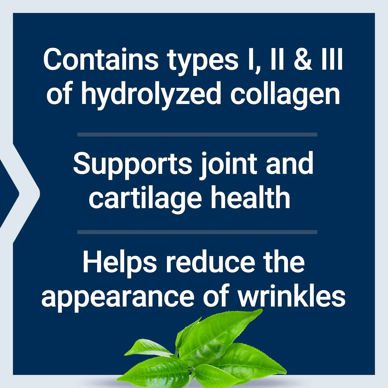 پپتیدهای کلاژن لایف اکستنشن برای پوست و مفاصل، انواع کلاژن I، II و III در پودری با قابلیت ترکیب آسان، بدون گلوتن، غیر GMO، وزن خالص 343 گرم