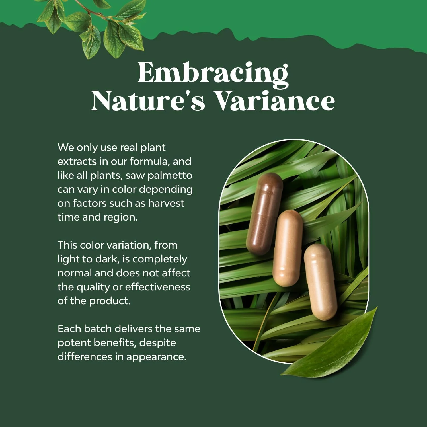 کپسول های عصاره نخل اره ای خالص - مکمل تقویت کننده رشد مو با نخل اره ای برای زنان و مردان - کپسول های نخل اره ای با ویتامین های مو برای رشد سریعتر مو برای مردان و زنان