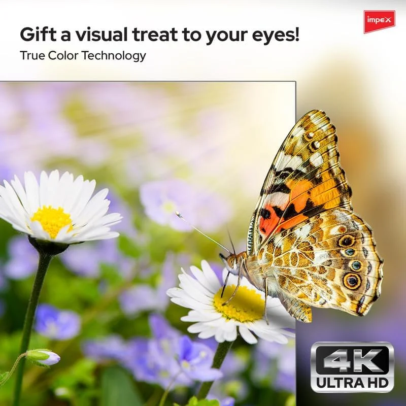 تلویزیون هوشمند ال ای دی 65 اینچی ایمپکس گلوریا با کیفیت تصویر UHD، سیستم عامل اندروید 9.0، پردازنده چهار هسته ای 8 گیگابایتی، نسبت تصویر 16:9، قابلیت E-Share Mirror Cast، ورودی آنتن، VGA، USB، HDMI و وای فای