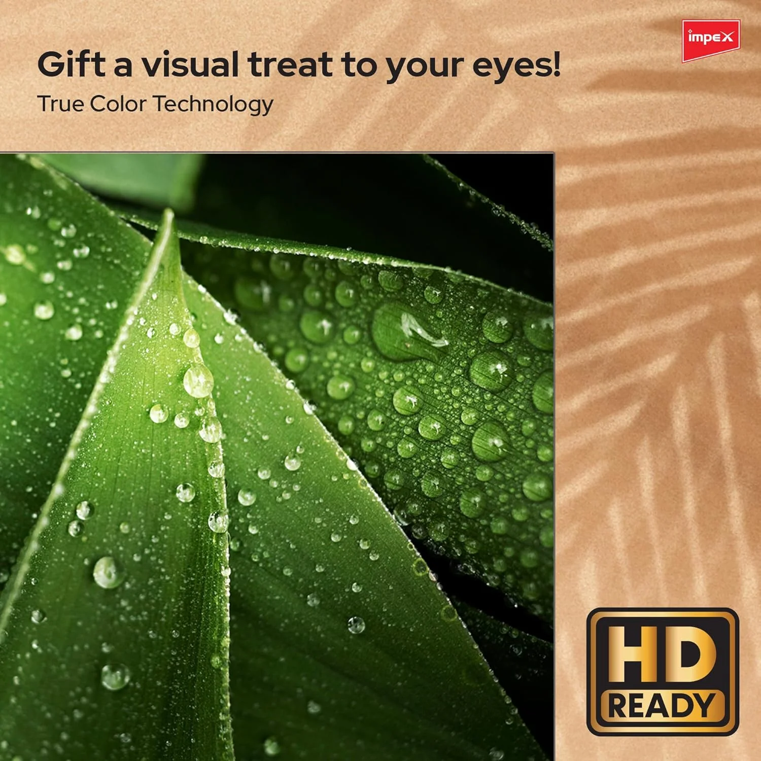 تلویزیون هوشمند اندروید LED ایمپکس - طراحی بدون قاب، قابلیت Mirror Cast و E-Share، ورودی HDMI/USB Wi-Fi، نتفلیکس، یوتیوب، دیزنی پلاس، اپل تی وی پلاس، استارز پلی عربیا (GLORIA 32 SMART) تلویزیون هوشمند اندروید LED ایمپکس - طراحی بدون قاب، قابلیت Mirror Cast و E-Share، ورودی HDMI/USB Wi-Fi، نتفلیکس، یوتیوب، دیزنی پلاس، اپل تی وی پلاس، استارز پلی عربیا (GLORIA 32 SMART)