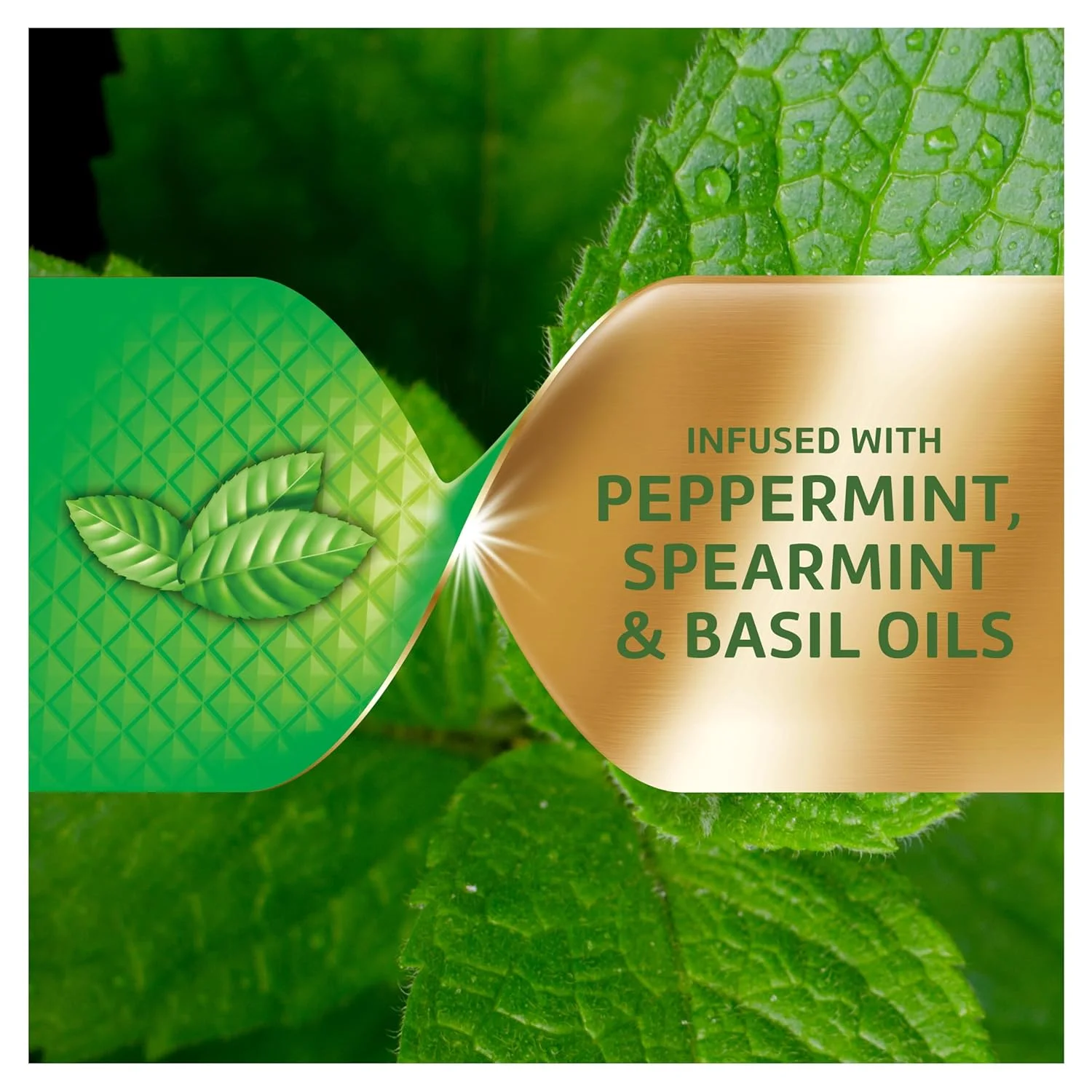 کرم چسب دندان مصنوعی سوپر پلی گریپ پاور مکس پاور هولد + طعم نعناع ممتاز - 62 گرم (بسته 4 عددی) کرم چسب دندان مصنوعی سوپر پلی گریپ پاور مکس پاور هولد + طعم نعناع ممتاز - 62 گرم (بسته 4 عددی)