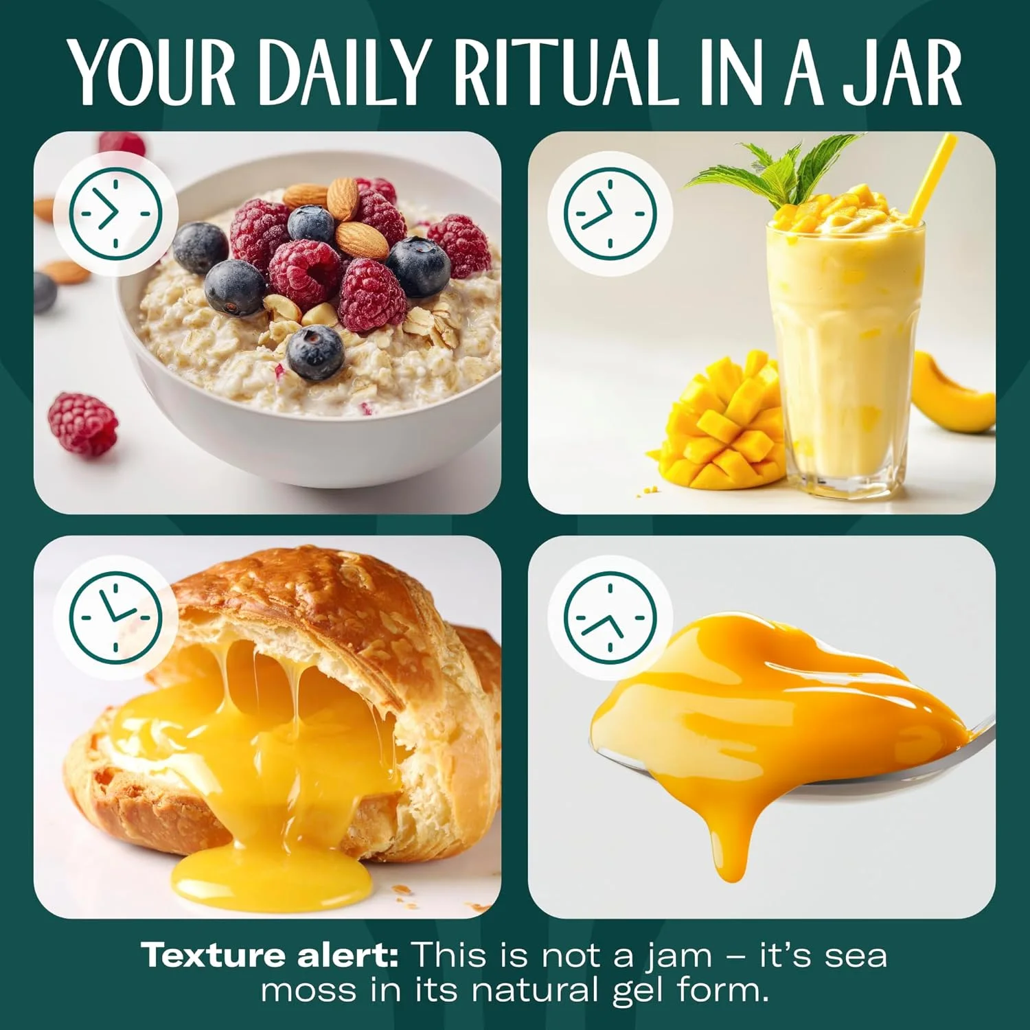 ژل خزه دریایی TrueSeaMoss - ساخت آمریکا - خزه دریایی وحشی، میوه ها و سبزیجات تازه - انبه، بسته 1 عددی (ممکن است برچسب ها متفاوت باشند)