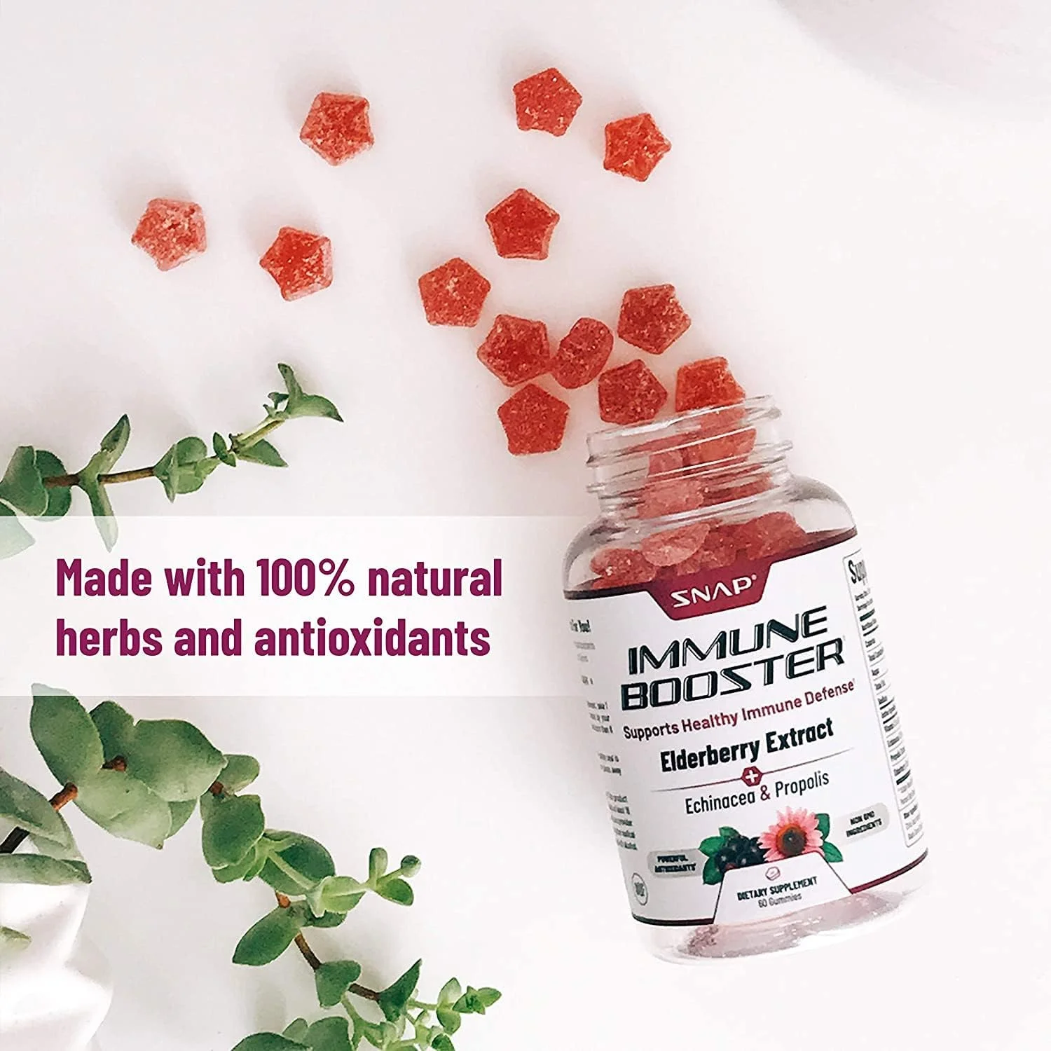 پاستیل‌های گیاه آقطی اسنپ ساپلمنتس - تقویت سیستم ایمنی با ویتامین C، پروپولیس، عصاره اکیناسه، پاستیل‌های گیاه آقطی برای کودکان و بزرگسالان | تقویت سیستم ایمنی و پشتیبانی از بهبودی از سرماخوردگی | 60 پاستیل