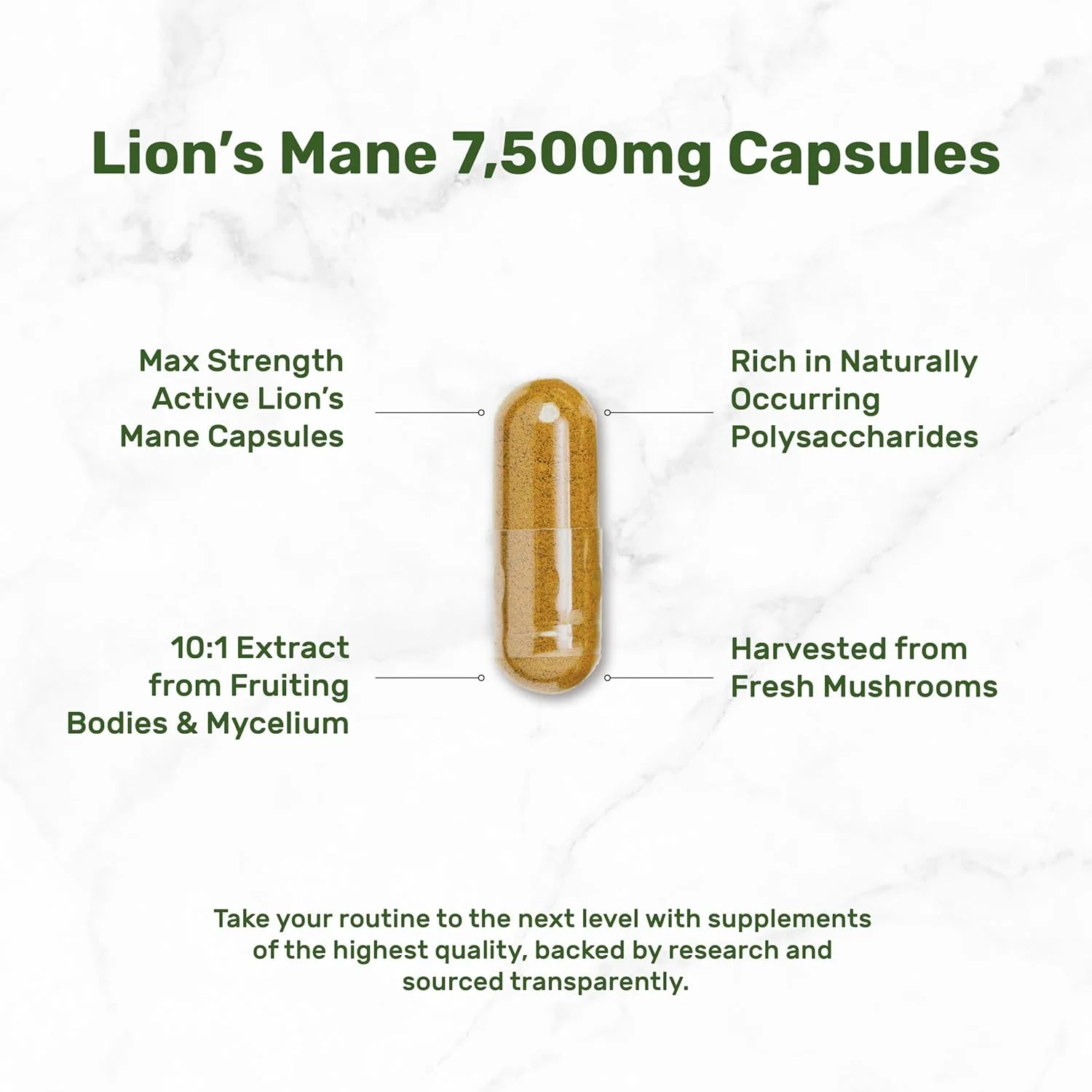 مکمل قارچ یال شیر، 7500 میلی گرم در هر وعده، 240 کپسول - عصاره 10:1 بدنه میوه فعال و میسلیوم - تقویت کننده طبیعی مغز و سیستم ایمنی - غیر GMO