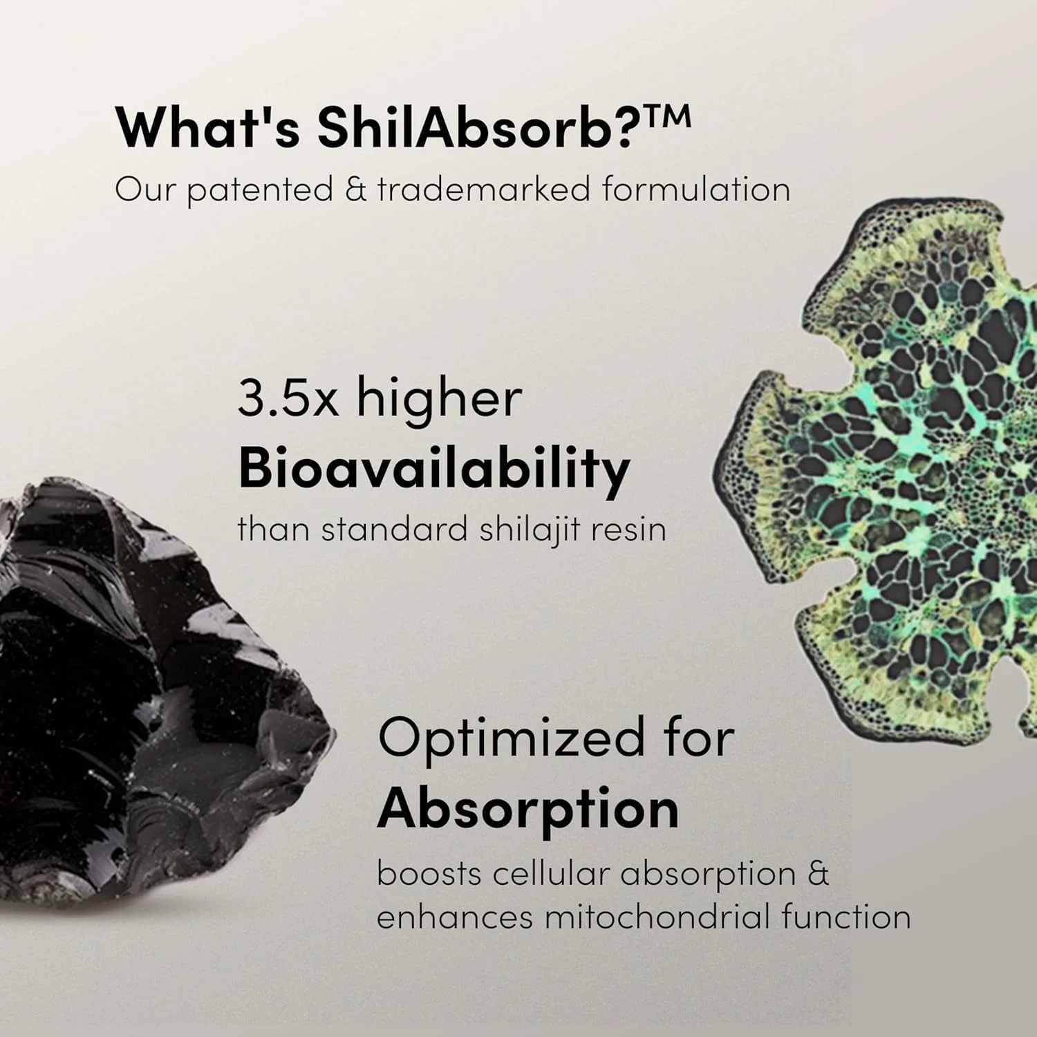 پاستیل شیلاجیت خالص پیشرفته ۴۰۰۰ میلی‌گرمی مخصوص آقایان I بدون شکر افزوده I آشواگاندا KSM-66، گوکشورا I بیش از ۷۵٪ فولوییک اسید و بیش از ۸۵ ماده معدنی کمیاب I آقایان، بانوان I غیر تراریخته I تست شده در آزمایشگاه I ۱۰۰٪ طبیعی I ۶۰ پاستیل