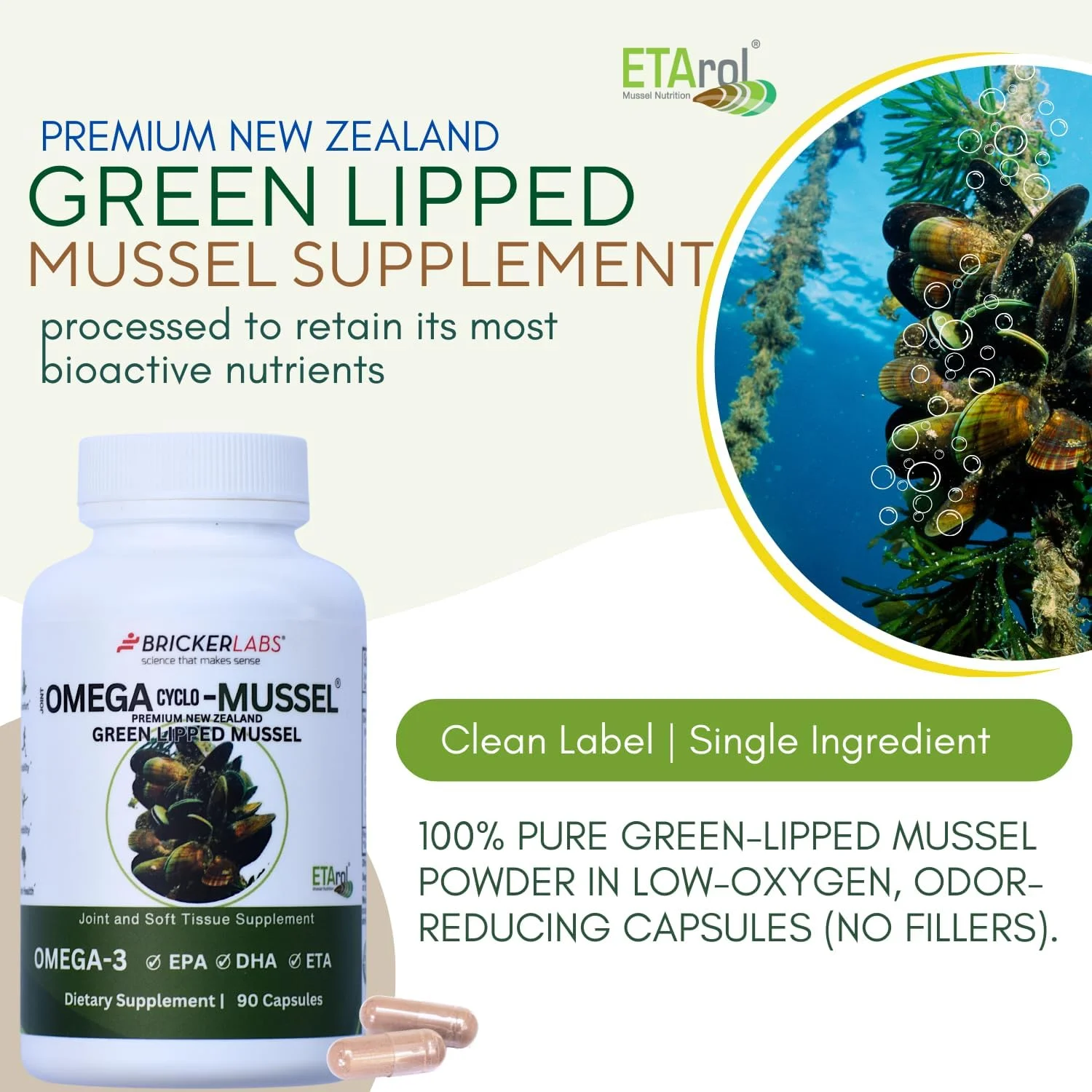 مکمل صدف لب سبز نیوزلندی ممتاز بریکر لبز | امگا طیف کامل | مکمل سلامت مفاصل | تحرک و راحتی مفاصل | برچسب پاک مکمل صدف لب سبز نیوزلندی ممتاز بریکر لبز | امگا طیف کامل | مکمل سلامت مفاصل | تحرک و راحتی مفاصل | برچسب پاک