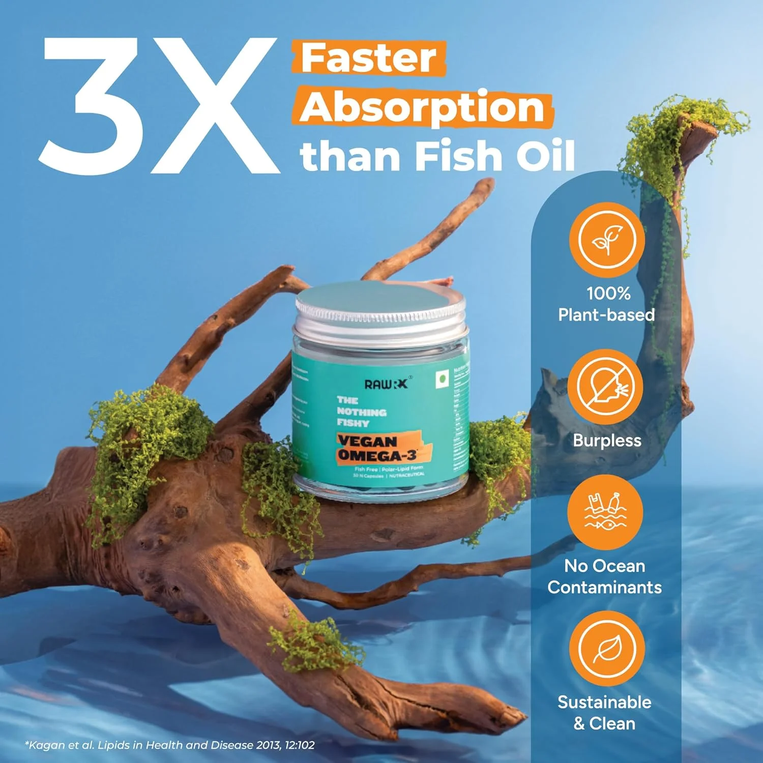 کپسول های روغن امگا 3 گیاهی RawRX، 30 عدد کپسول گیاهی (مناسب برای 30 روز)، روغن جلبک 500 میلی گرمی، بدون کاراگینان و ژلاتین، بدون روغن ماهی، پشتیبانی از سلامت قلب، مغز و مفاصل، برای آقایان و بانوان