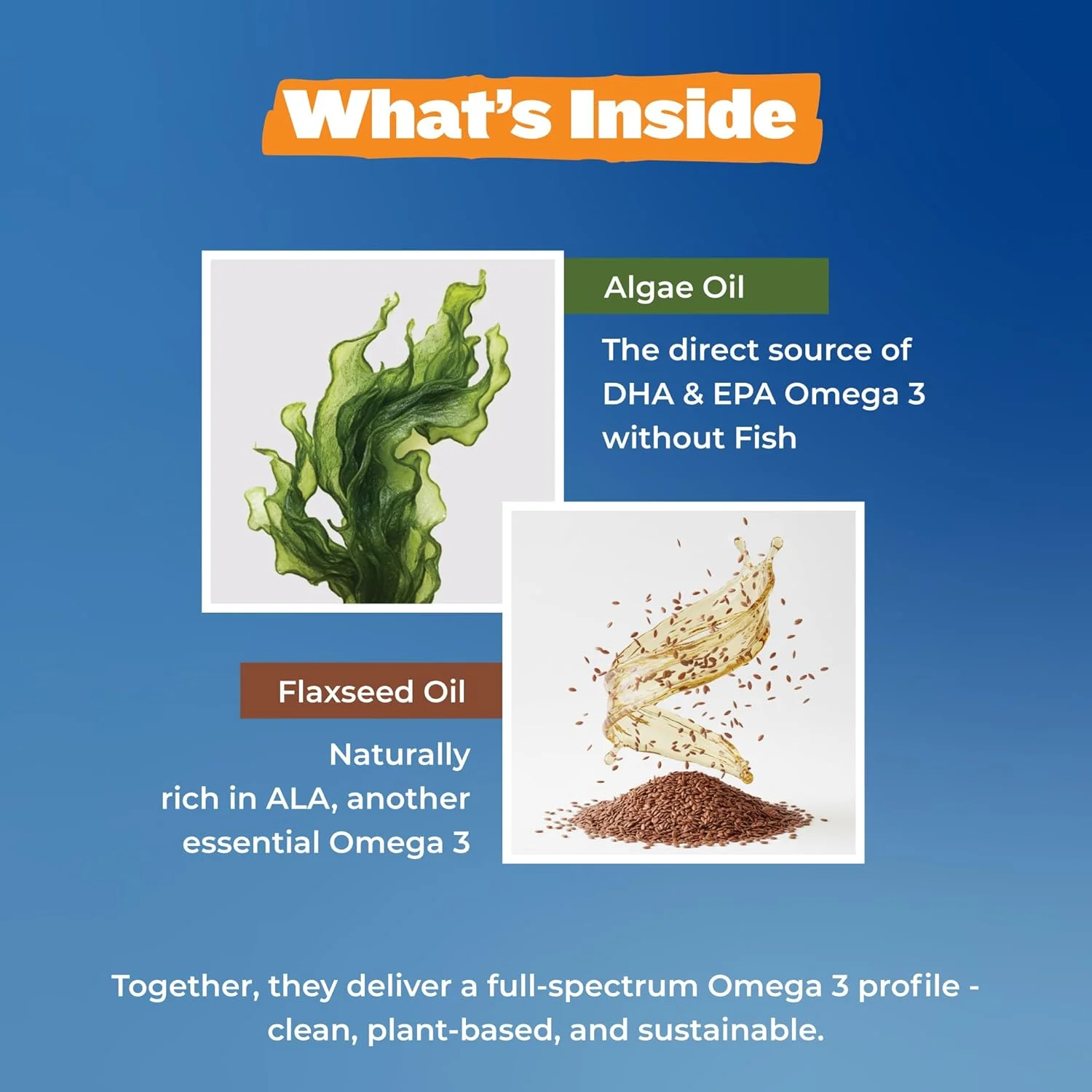 کپسول های روغن امگا 3 گیاهی RawRX، 30 عدد کپسول گیاهی (مناسب برای 30 روز)، روغن جلبک 500 میلی گرمی، بدون کاراگینان و ژلاتین، بدون روغن ماهی، پشتیبانی از سلامت قلب، مغز و مفاصل، برای آقایان و بانوان