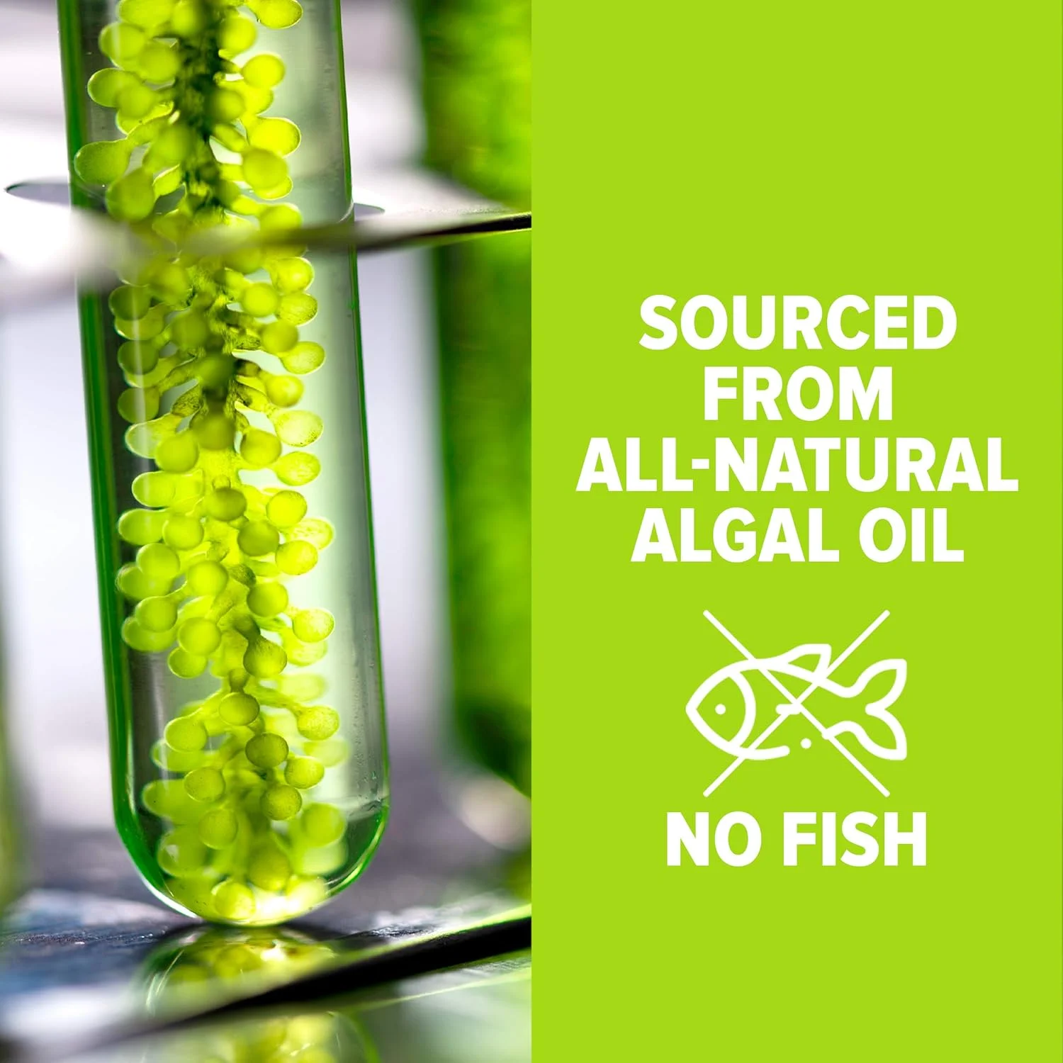 امگا سوپر برای کودکان با DHA + EPA | امگا 3 برای تمرکز بهتر و خواب با کیفیت | روغن جلبک امگا 3 مایع (1 میلی لیتر) | قطره های DHA کاملا طبیعی برای کودکان | مکمل ساخت آمریکا | (30 میلی لیتر)