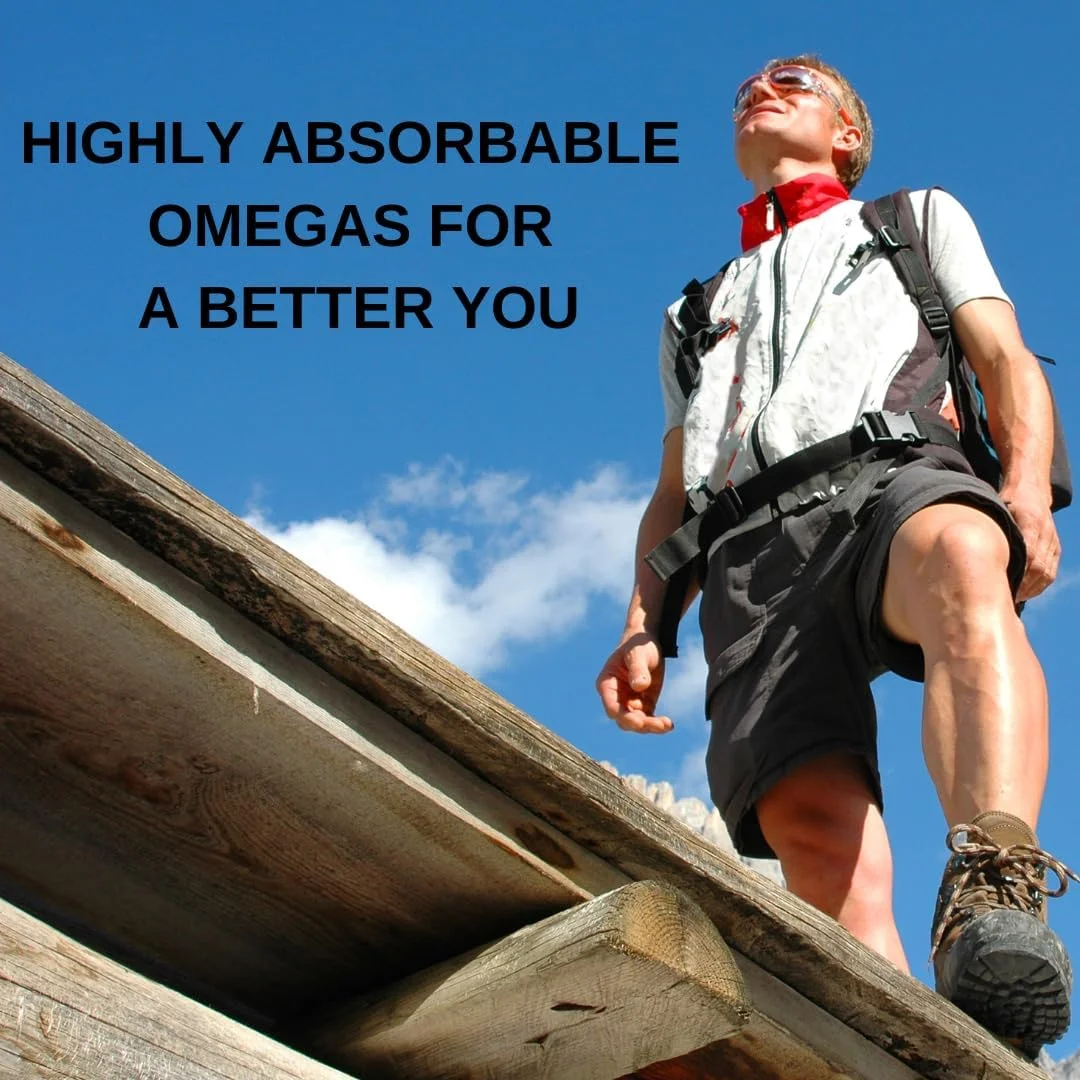 کپسول روغن ماهی امگا 3 برای آقایان و بانوان 1000 میلی گرم (180 میلی گرم EPA و 120 میلی گرم DHA) به همراه سایر اسیدهای چرب امگا 3 برای پشتیبانی از سلامت قلب، مغز و مفاصل - 60 سافت ژل