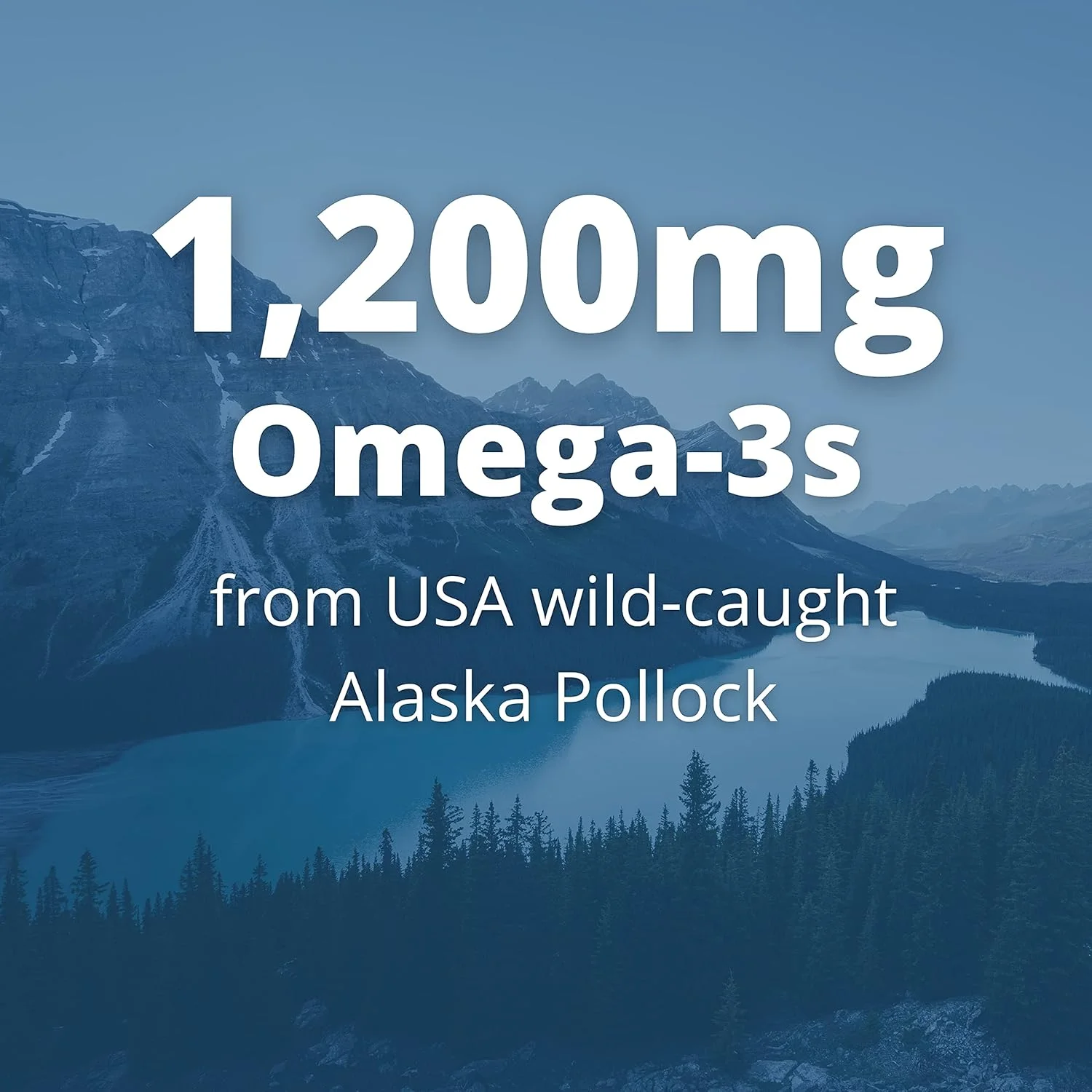 گاردن آف لایف - اوشنز 3 فراتر از امگا 3 با امگازانتین 60 سافت ژل گاردن آف لایف - اوشنز 3 فراتر از امگا 3 با امگازانتین 60 سافت ژل