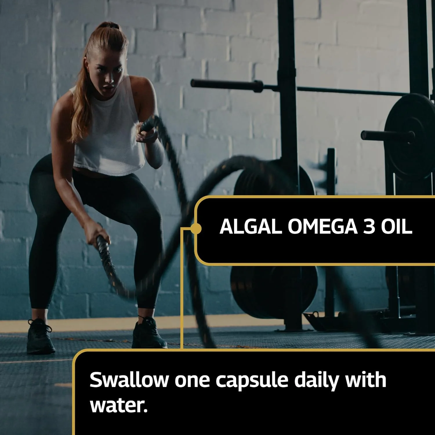 امگا 3 گیاهی الیت هلث‌اسپن 1000 میلی‌گرم (تامین 2 ماهه) | پشتیبانی از سلامت مغز، چشم و قلب | منبع پایدار | شریک رسمی آل بلک‌ها | دارای تاییدیه Informed Sport | وگان