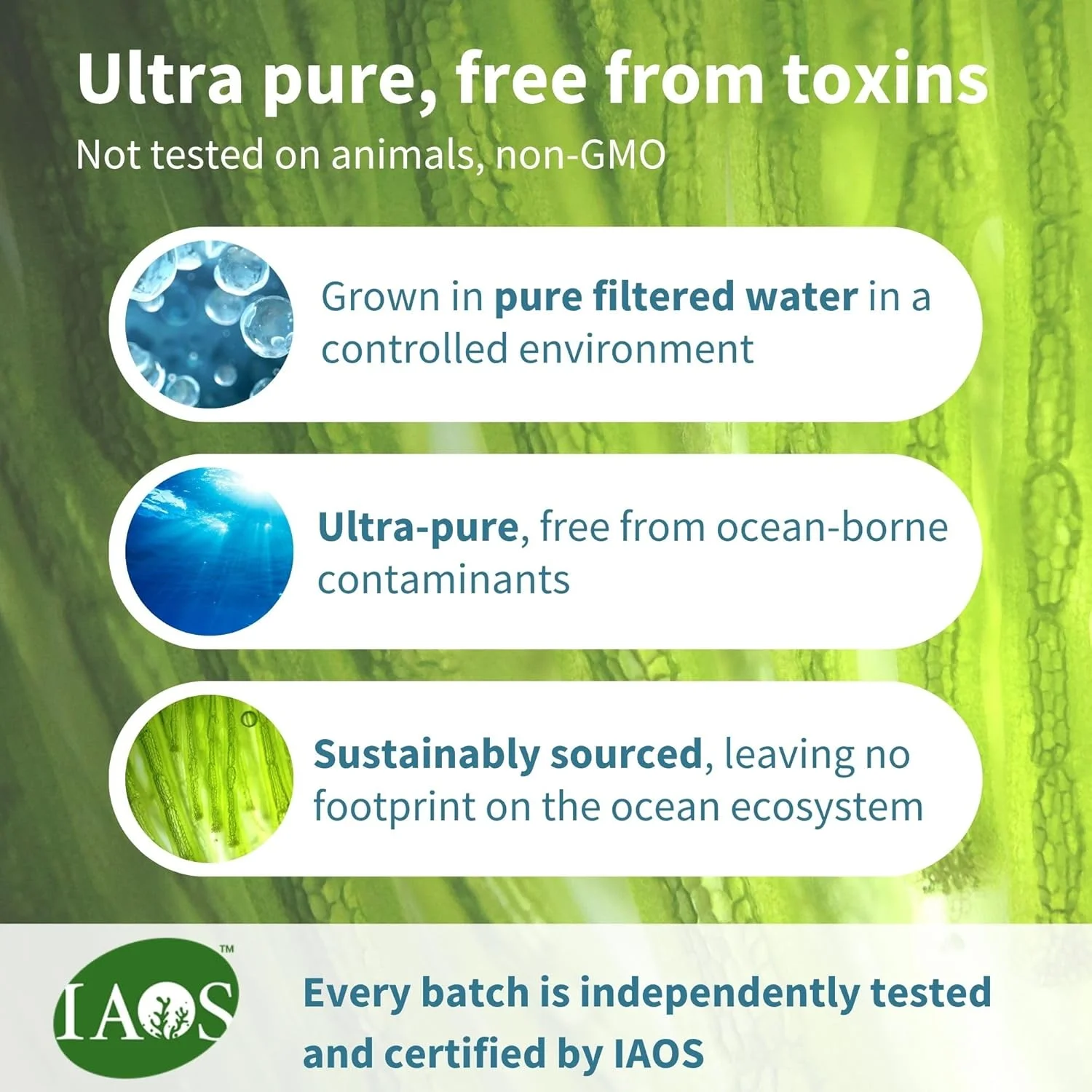 امگا 3 و آستاگزانتین گیاهی خالص و ضروری ایگنوس، روغن جلبک DHA و EPA با غلظت بالا، پایدار و خالص، 600 میلی گرم DHA و EPA برای سلامت قلب، مغز و چشم، 60 سافت ژل کوچک