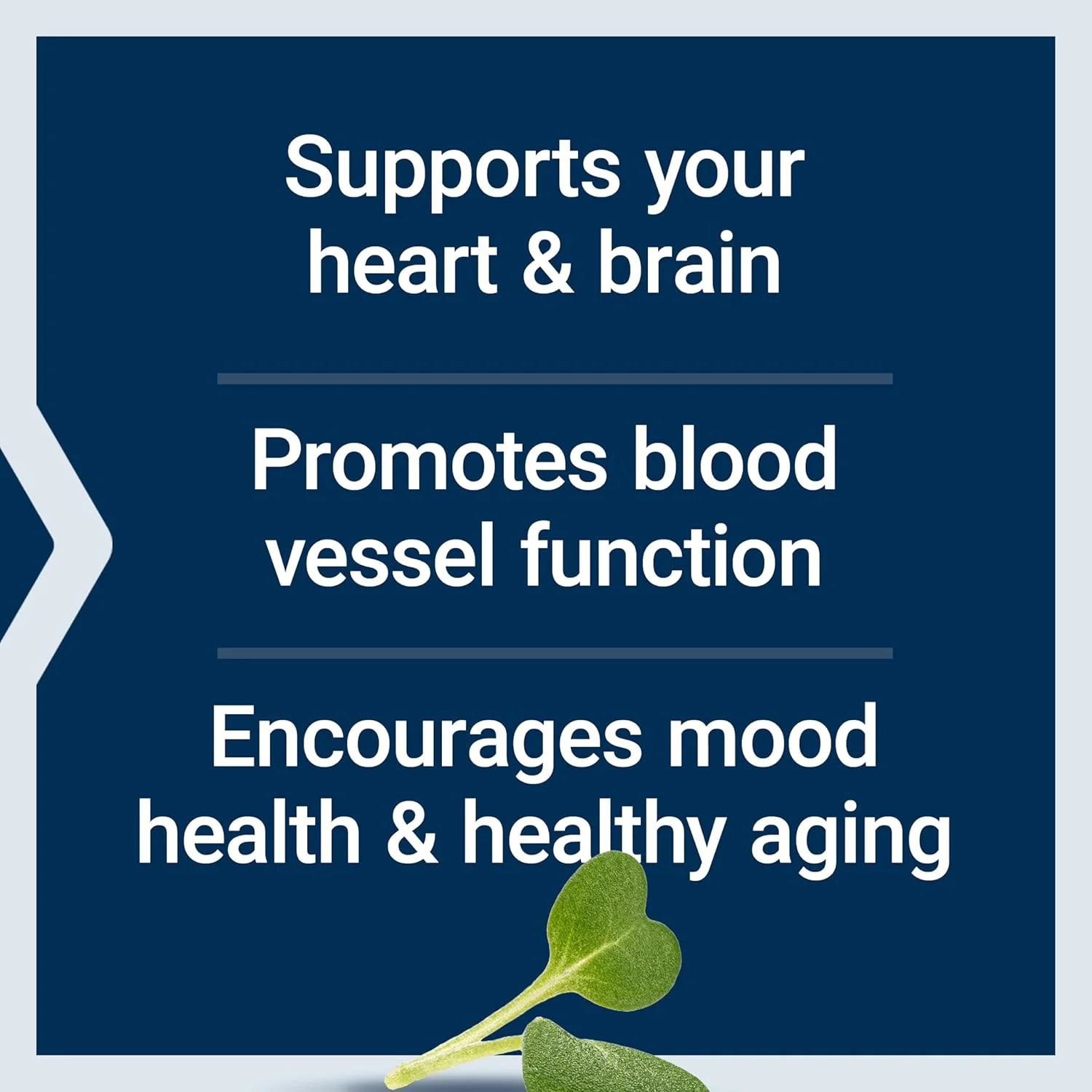 لایف اکستنشن سوپر امگا 3 (روغن ماهی) EPA/DHA با لیگنان کنجد و عصاره زیتون، 60 سافت ژل