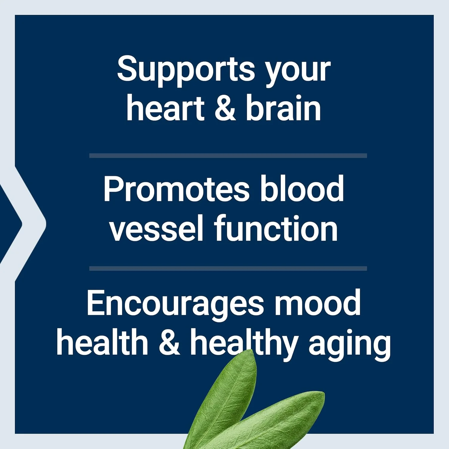 مکمل روغن ماهی امگا 3 EPA/DHA لایف اکستنشن با لیگنان کنجد و عصاره زیتون - دارای گواهینامه 5 ستاره IFOS - فاقد گلوتن، غیر تراریخته - 60 سافت ژل