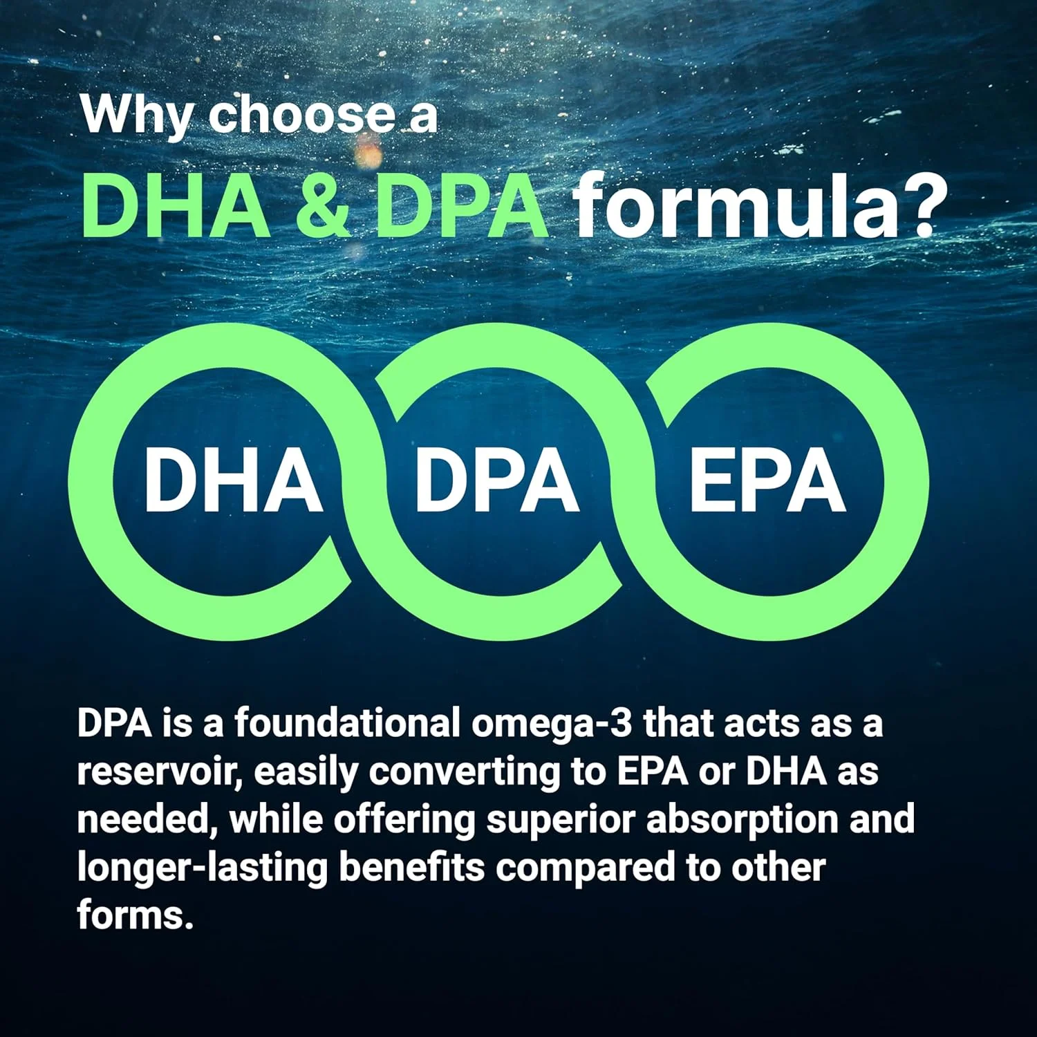روغن جلبک گیاهی میکرو اینگرِدیِنتس با امگا 3، 240 سافت ژل گیاهی | جایگزین روغن ماهی | DHA 500 میلی گرم و DPA 100 میلی گرم | فاقد کاراگینان | امگا 3 گیاهی با Li
