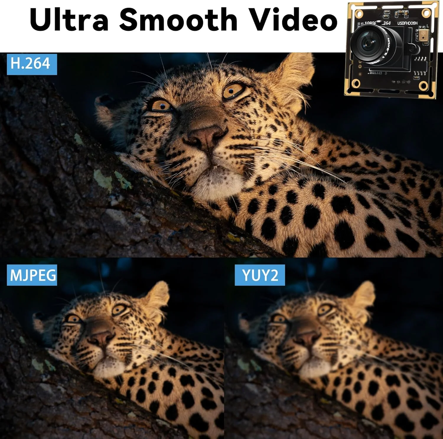 ماژول دوربین USB با نور کم 1080P برای کامپیوتر، 2 مگاپیکسل H.264 30 فریم بر ثانیه با زاویه دید عریض مینی UVC USB2.0 با میکروفون، دوربین صنعتی جاسازی شده Plug and Play برای ویندوز لینوکس MacOS Raspberry Pi ماژول دوربین USB با نور کم 1080P برای کامپیوتر، 2 مگاپیکسل H.264 30 فریم بر ثانیه با زاویه دید عریض مینی UVC USB2.0 با میکروفون، دوربین صنعتی جاسازی شده Plug and Play برای ویندوز لینوکس MacOS Raspberry Pi