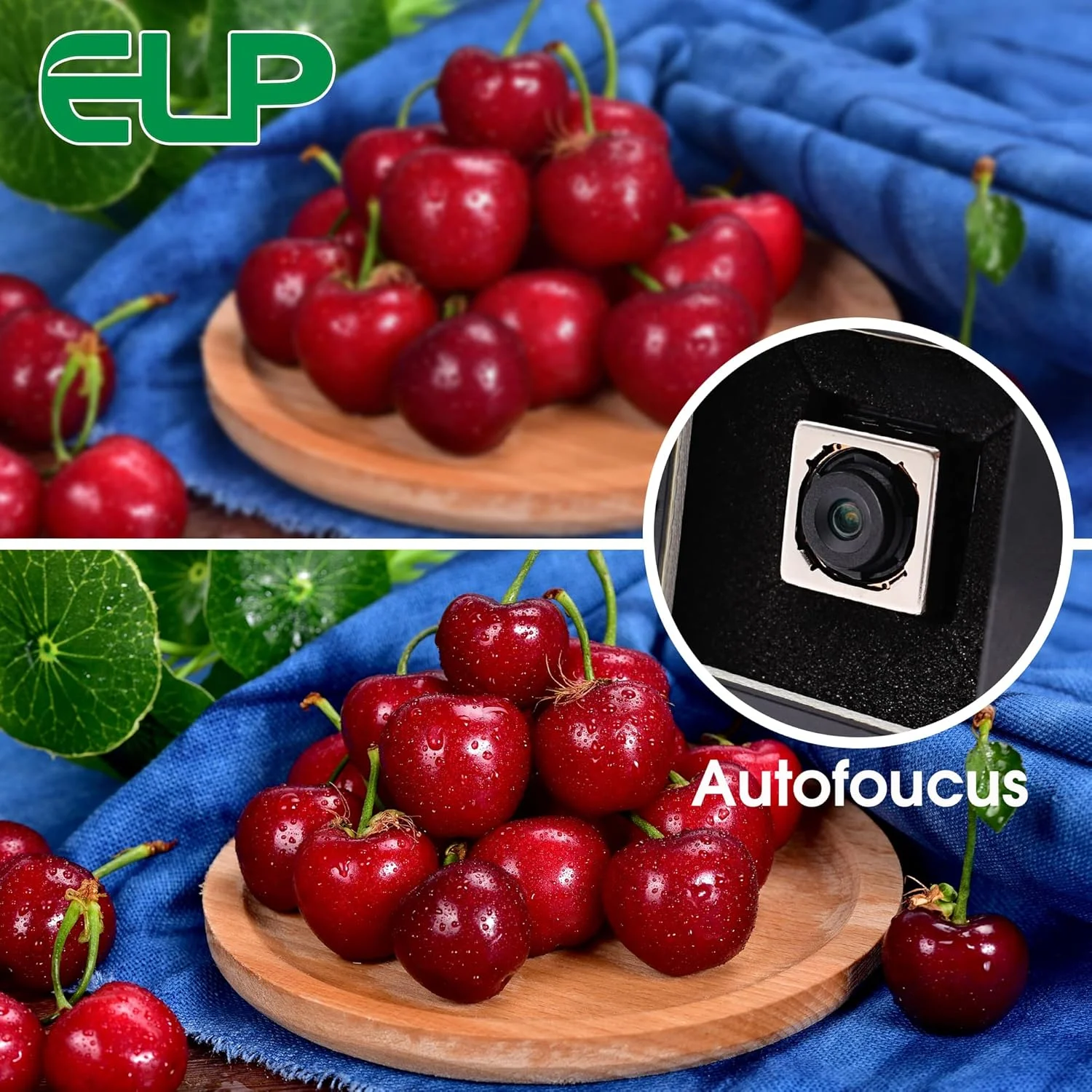 وب کم 16 مگاپیکسلی USB با فوکوس خودکار ELP برای کامپیوتر، وب کم کوچک UVC USB2.0 PC، دوربین امنیتی USB IMX298 دوربین 4K Lightburn، دوربین صنعتی مدار بسته برای حکاکی لیزری، وب کم برای لپ تاپ رزبری پای وب کم 16 مگاپیکسلی USB با فوکوس خودکار ELP برای کامپیوتر، وب کم کوچک UVC USB2.0 PC، دوربین امنیتی USB IMX298 دوربین 4K Lightburn، دوربین صنعتی مدار بسته برای حکاکی لیزری، وب کم برای لپ تاپ رزبری پای