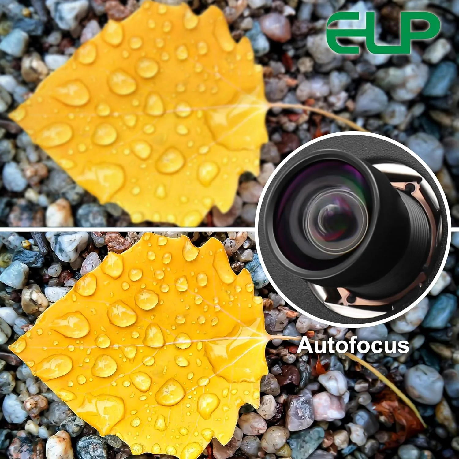 دوربین USB 4K ELP با میکروفون برای کامپیوتر و رزبری پای مینی UVC USB2.0 وب کم IMX415 USB با دوربین 2160P صدا و تصویر دوربین لایتبرن دوربین USB کامپیوتر لپ تاپ (لنز 100 درجه بدون اعوجاج) دوربین USB 4K ELP با میکروفون برای کامپیوتر و رزبری پای مینی UVC USB2.0 وب کم IMX415 USB با دوربین 2160P صدا و تصویر دوربین لایتبرن دوربین USB کامپیوتر لپ تاپ (لنز 100 درجه بدون اعوجاج)