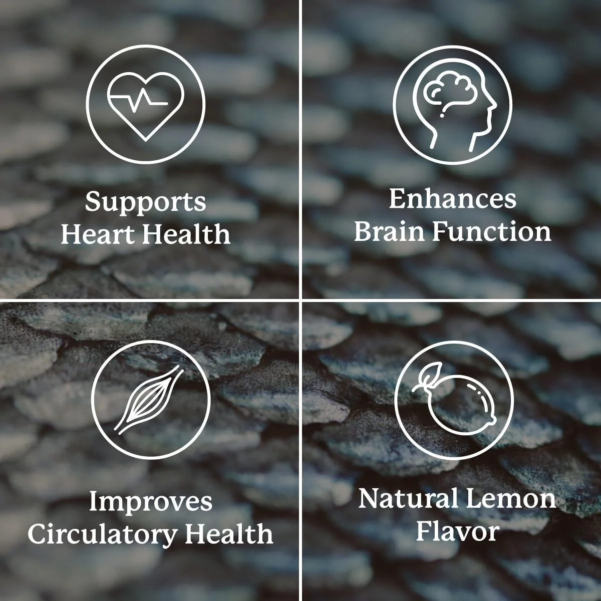 نچرال سانشاین سوپر امگا 3 EPA 180 سافت ژل نچرال سانشاین سوپر امگا 3 EPA 180 سافت ژل