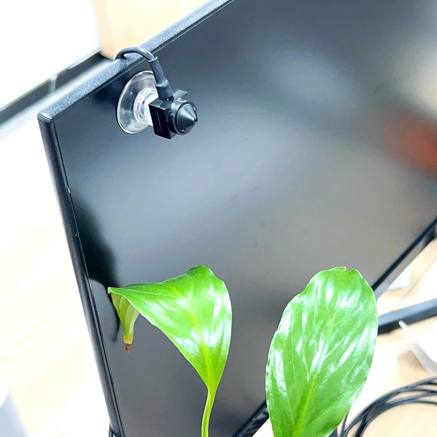 وب کم مینی USB مدل STINYTECH 1080p با قابلیت اتصال آسان، لنز 3.7 میلی متری، میکروفون و کابل 2 متری، مناسب برای لینوکس، ویندوز، مک او اس و اندروید (رابط USB) وب کم مینی USB مدل STINYTECH 1080p با قابلیت اتصال آسان، لنز 3.7 میلی متری، میکروفون و کابل 2 متری، مناسب برای لینوکس، ویندوز، مک او اس و اندروید (رابط USB)