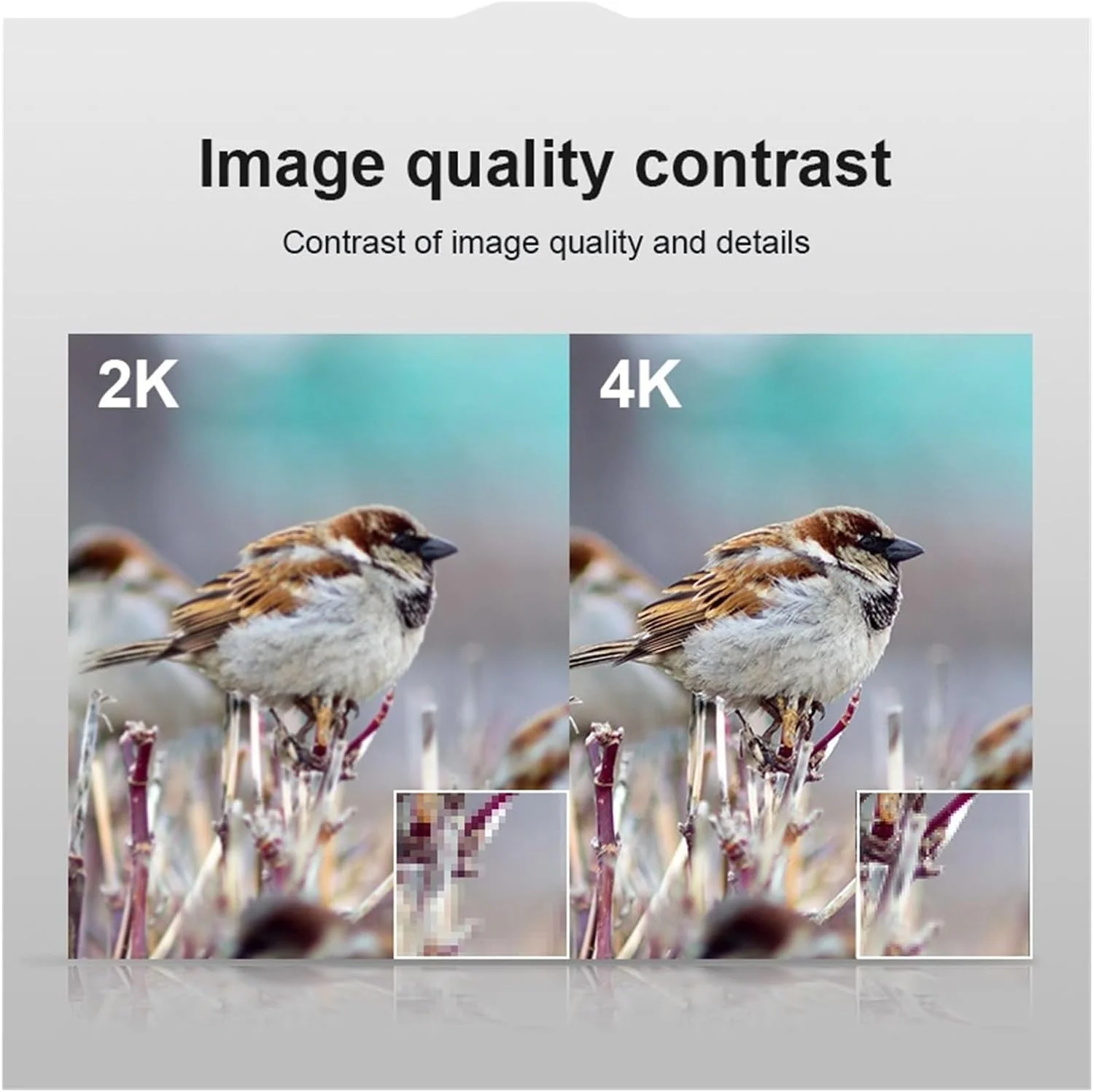 وب کم، دوربین وب کم 4K USB با میکروفون، دوربین وب کم برای رایانه شخصی و لپ تاپ، پخش ویدئو، دوربین کوچک با پوشش دوربین وب وب کم، دوربین وب کم 4K USB با میکروفون، دوربین وب کم برای رایانه شخصی و لپ تاپ، پخش ویدئو، دوربین کوچک با پوشش دوربین وب