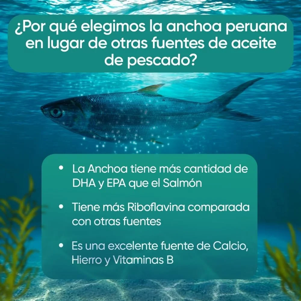 کپسول های نرم امگا 3 - 2000 میلی گرم روغن ماهی با 1100 میلی گرم امگا 3، 660 میلی گرم EPA و 440 میلی گرم DHA در هر وعده - 240 سافت ژل - روغن ماهی WeightWorld کپسول های نرم امگا 3 - 2000 میلی گرم روغن ماهی با 1100 میلی گرم امگا 3، 660 میلی گرم EPA و 440 میلی گرم DHA در هر وعده - 240 سافت ژل - روغن ماهی WeightWorld