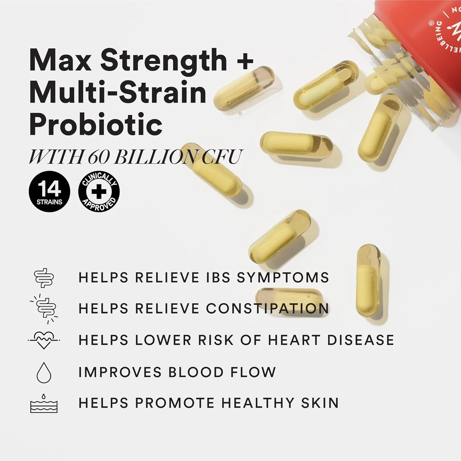 مکمل غذایی آهسته رهش Wellbeing Nutrition، سلامت روده، حاوی پروبیوتیک و پریبیوتیک 20 میلیارد CFU در روغن امگا 3 وگان، سلامت روده، تعادل گوارشی، بهبود جذب مواد مغذی و حفظ سلامت روده (60 کپسول) مکمل غذایی آهسته رهش Wellbeing Nutrition، سلامت روده، حاوی پروبیوتیک و پریبیوتیک 20 میلیارد CFU در روغن امگا 3 وگان، سلامت روده، تعادل گوارشی، بهبود جذب مواد مغذی و حفظ سلامت روده (60 کپسول)