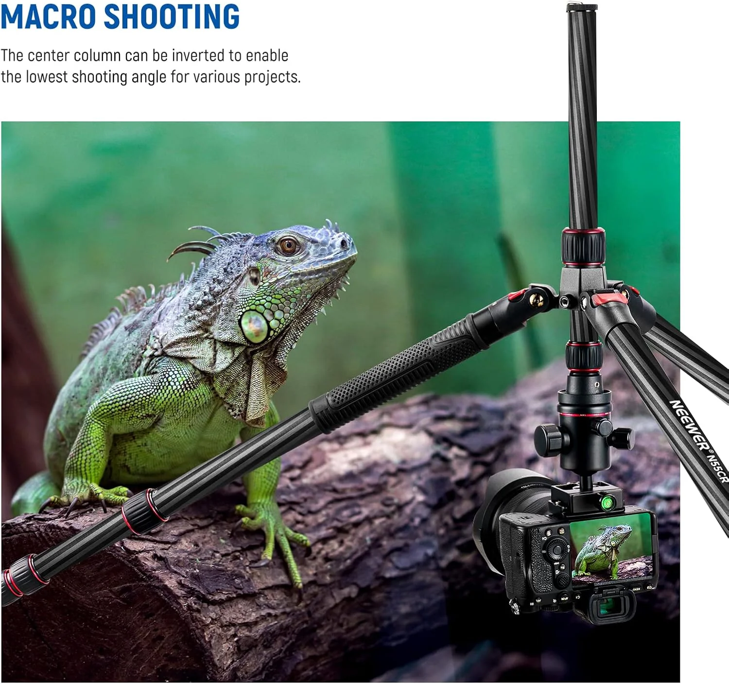 سه پایه دوربین و تک پایه فیبر کربنی Neewer 79 اینچی با 2 محور مرکزی، هد توپی 360 درجه، صفحه کفشک سریع 1/4 اینچی و کیف برای دوربین DSLR، دوربین فیلمبرداری، مسافرت و کار، تحمل وزن تا 12 کیلوگرم سه پایه دوربین و تک پایه فیبر کربنی Neewer 79 اینچی با 2 محور مرکزی، هد توپی 360 درجه، صفحه کفشک سریع 1/4 اینچی و کیف برای دوربین DSLR، دوربین فیلمبرداری، مسافرت و کار، تحمل وزن تا 12 کیلوگرم