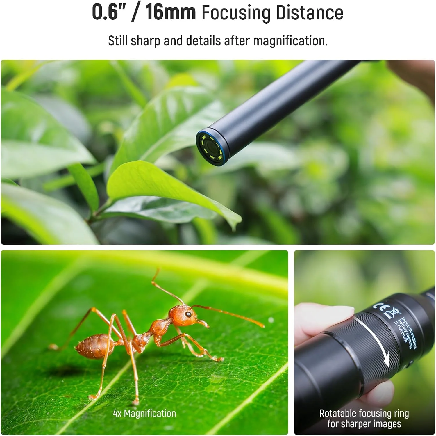 لنز ماکرو پروب 16 میلیمتری NEEWER با میدان دید 109 درجه و نور LED قابل شارژ با رزوه 17 میلیمتری برای عکاسی و فیلمبرداری ماکرو موبایل سازگار با لنز دوربین آیفون و سامسونگ، قفس/کیف تلفن NEEWER، LS-63 لنز ماکرو پروب 16 میلیمتری NEEWER با میدان دید 109 درجه و نور LED قابل شارژ با رزوه 17 میلیمتری برای عکاسی و فیلمبرداری ماکرو موبایل سازگار با لنز دوربین آیفون و سامسونگ، قفس/کیف تلفن NEEWER، LS-63