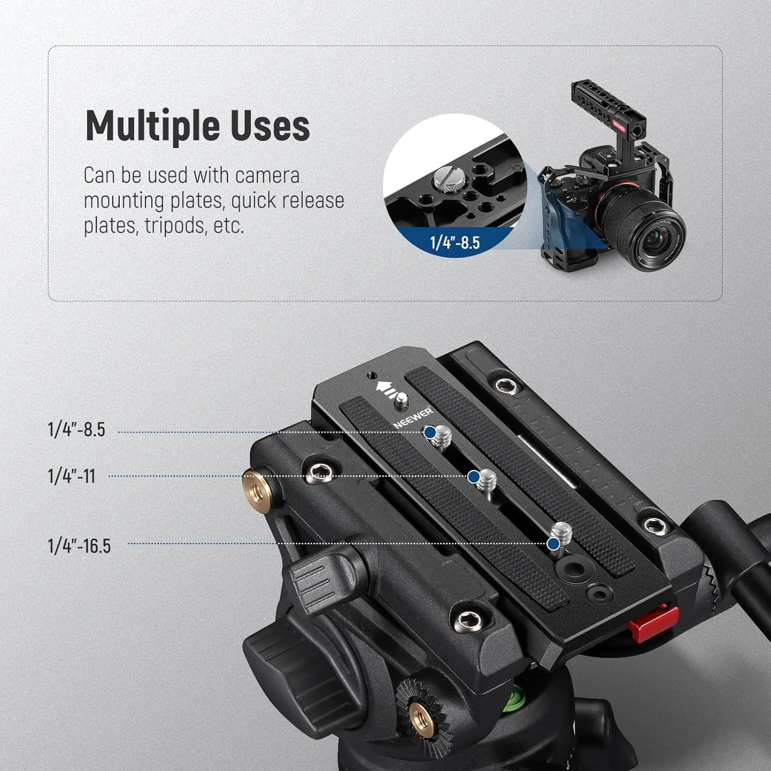 مجموعه 15 عددی پیچ 1/4 اینچی NEEWER با جعبه نگهداری، 3 سایز، استیل ضد زنگ، پیچ سه پایه، اتصال سریع، پیچ جایگزین، طراحی شده برای UA026 مجموعه 15 عددی پیچ 1/4 اینچی NEEWER با جعبه نگهداری، 3 سایز، استیل ضد زنگ، پیچ سه پایه، اتصال سریع، پیچ جایگزین، طراحی شده برای UA026