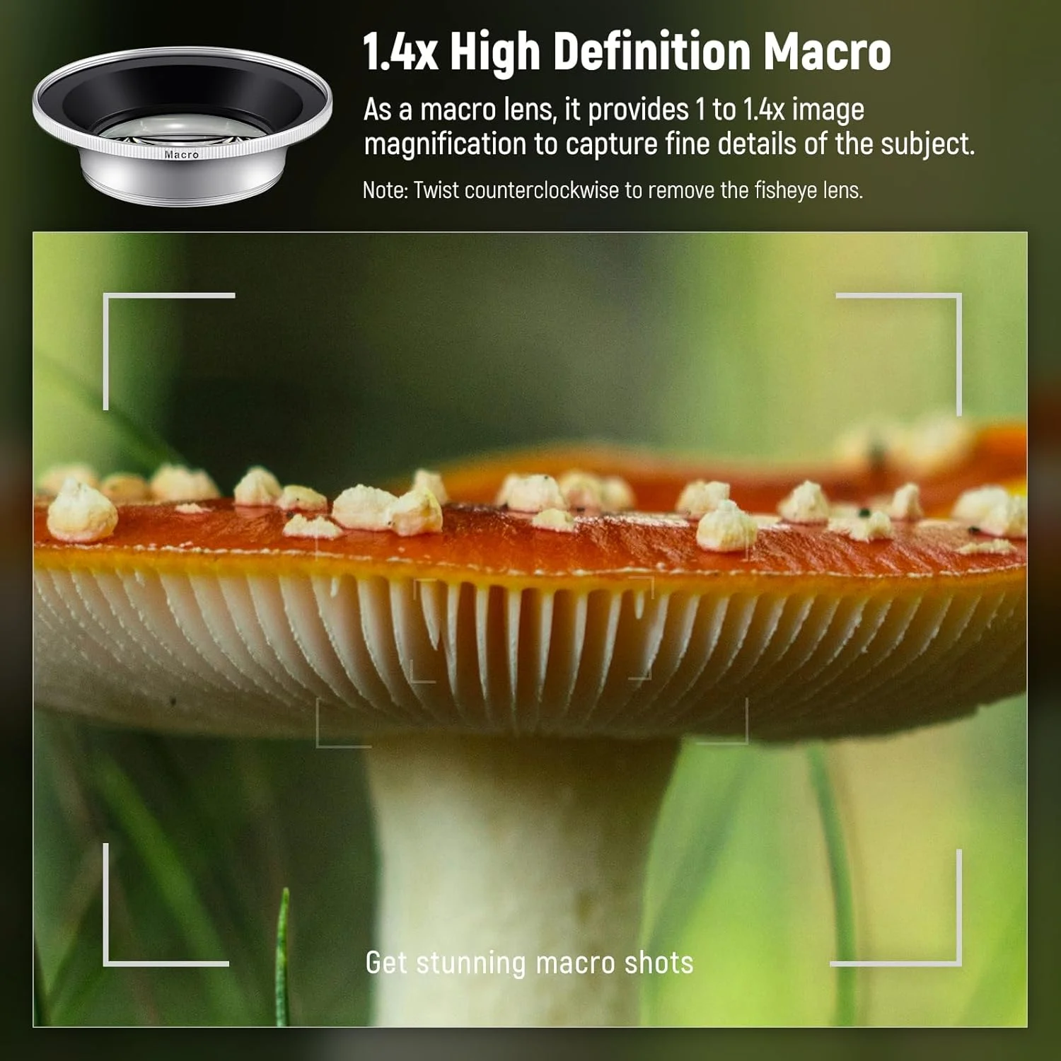 لنز اضافی چشم ماهی 0.43x و ماکرو 1.4x نئور 49 میلیمتری برای دوربینهای سری X100، لنز HD 2 در 1 با حلقه آداپتور 49 میلیمتری برای دوربینهای فوجیفیلم X100 X100S X100F X100T X100V X100VI (قاب نقرهای)، LS-46 لنز اضافی چشم ماهی 0.43x و ماکرو 1.4x نئور 49 میلیمتری برای دوربینهای سری X100، لنز HD 2 در 1 با حلقه آداپتور 49 میلیمتری برای دوربینهای فوجیفیلم X100 X100S X100F X100T X100V X100VI (قاب نقرهای)، LS-46