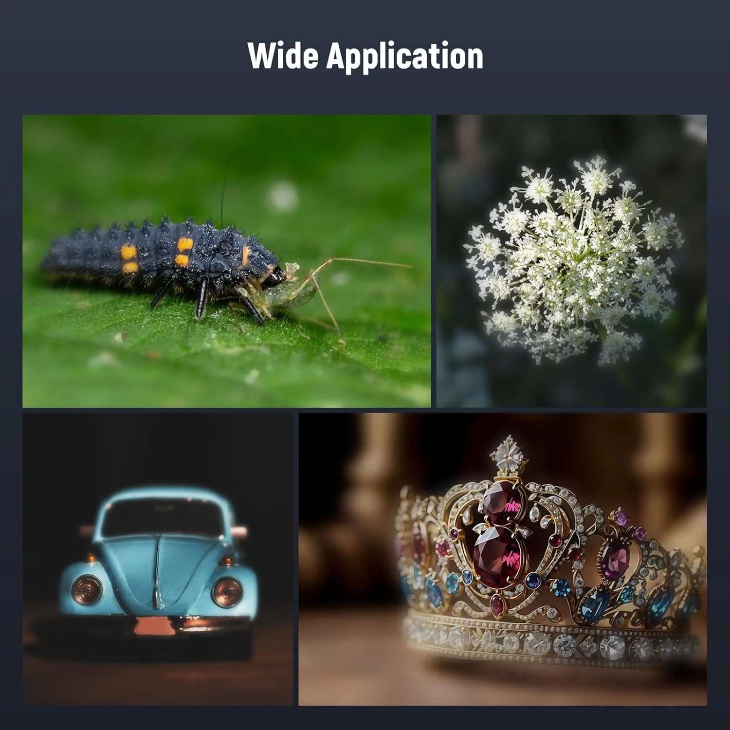 لنز ماکرو 75 میلیمتری دوربین گوشی NEEWER با گیره لنز رزوه دار 17 میلیمتری، بزرگنمایی 3 برابر، 5 عنصر در 5 گروه برای صفحه پشتی، قفس گوشی، سازگار با آیفون سامسونگ اندروید، LS-73 لنز ماکرو 75 میلیمتری دوربین گوشی NEEWER با گیره لنز رزوه دار 17 میلیمتری، بزرگنمایی 3 برابر، 5 عنصر در 5 گروه برای صفحه پشتی، قفس گوشی، سازگار با آیفون سامسونگ اندروید، LS-73