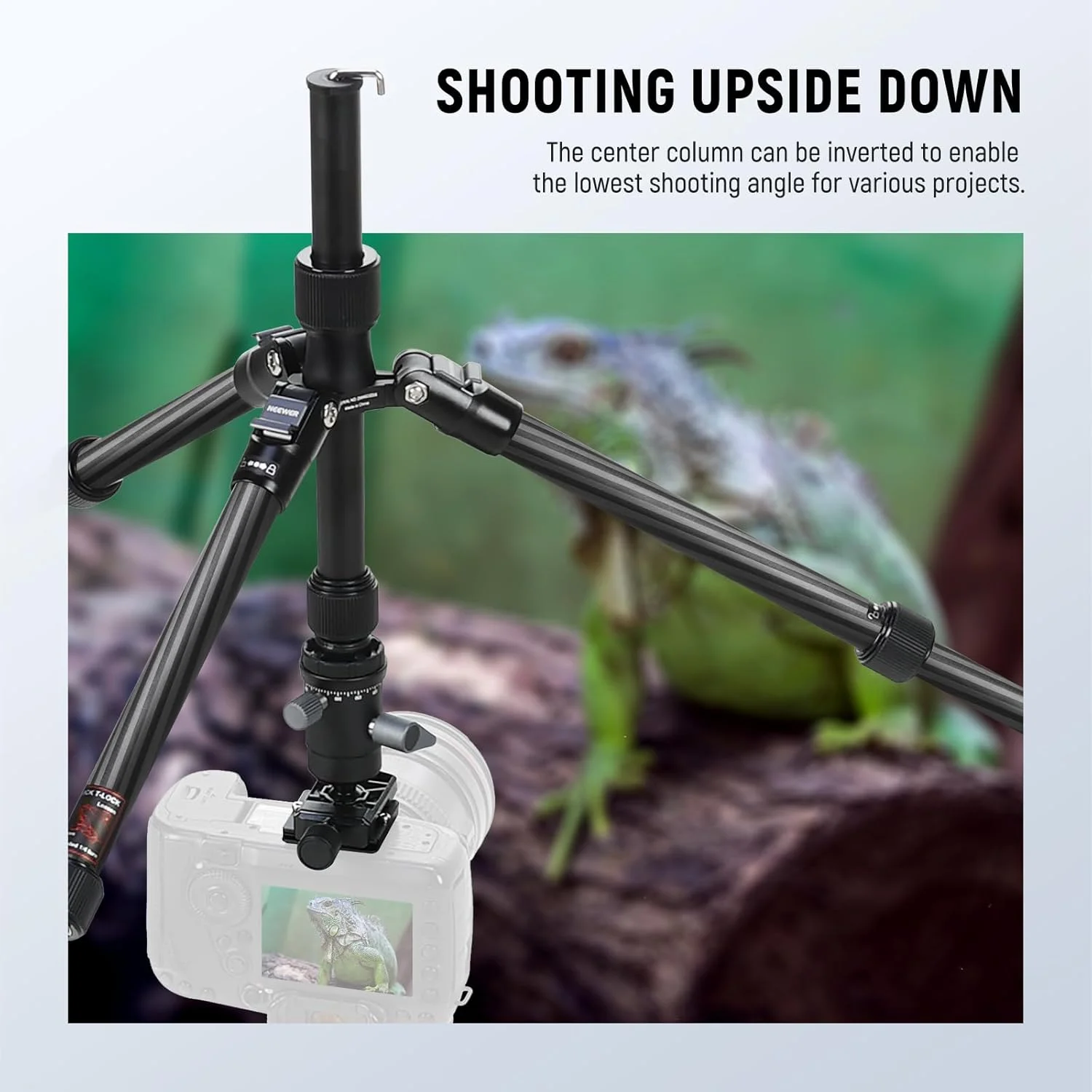 تک پایه سه پایه دوربین فیبر کربنی NEEWER، 65 اینچ، سبک وزن، جمع و جور، قابل حمل، پایه فیلمبرداری DSLR، هد توپی 360 درجه، صفحه QR ضد لغزش، محور مرکزی معکوس، پایه های برگشت پذیر، حداکثر بار 6 کیلوگرم، TP39 تک پایه سه پایه دوربین فیبر کربنی NEEWER، 65 اینچ، سبک وزن، جمع و جور، قابل حمل، پایه فیلمبرداری DSLR، هد توپی 360 درجه، صفحه QR ضد لغزش، محور مرکزی معکوس، پایه های برگشت پذیر، حداکثر بار 6 کیلوگرم، TP39