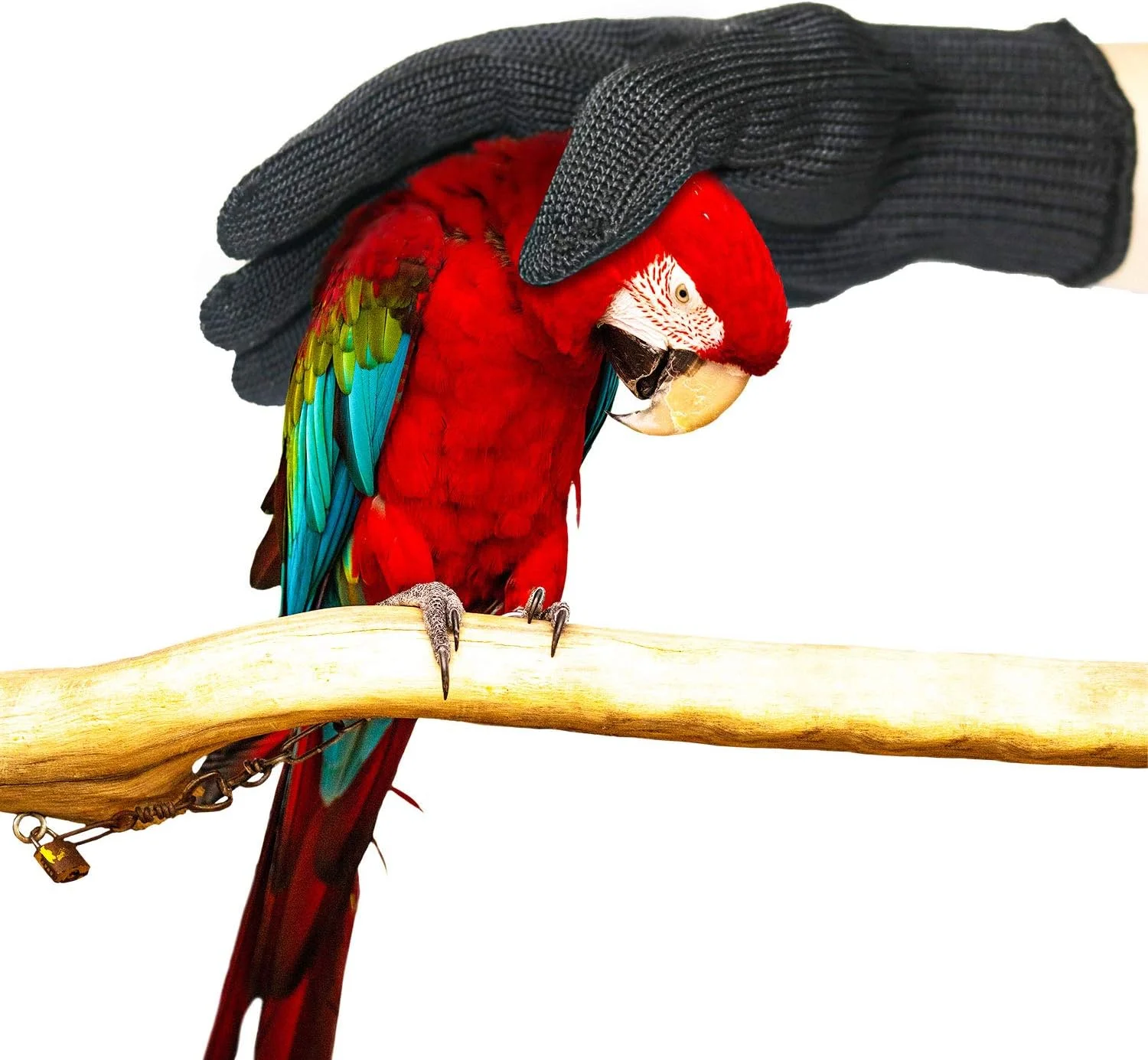 دستکش آموزش پرندگان ضد گازگرفتگی، سطح 5 محافظت، دستکش محافظ ایمنی کار برای حیوانات کوچک سنجاب همستر عروس هلندی فنچ ماکائو (2 جفت)