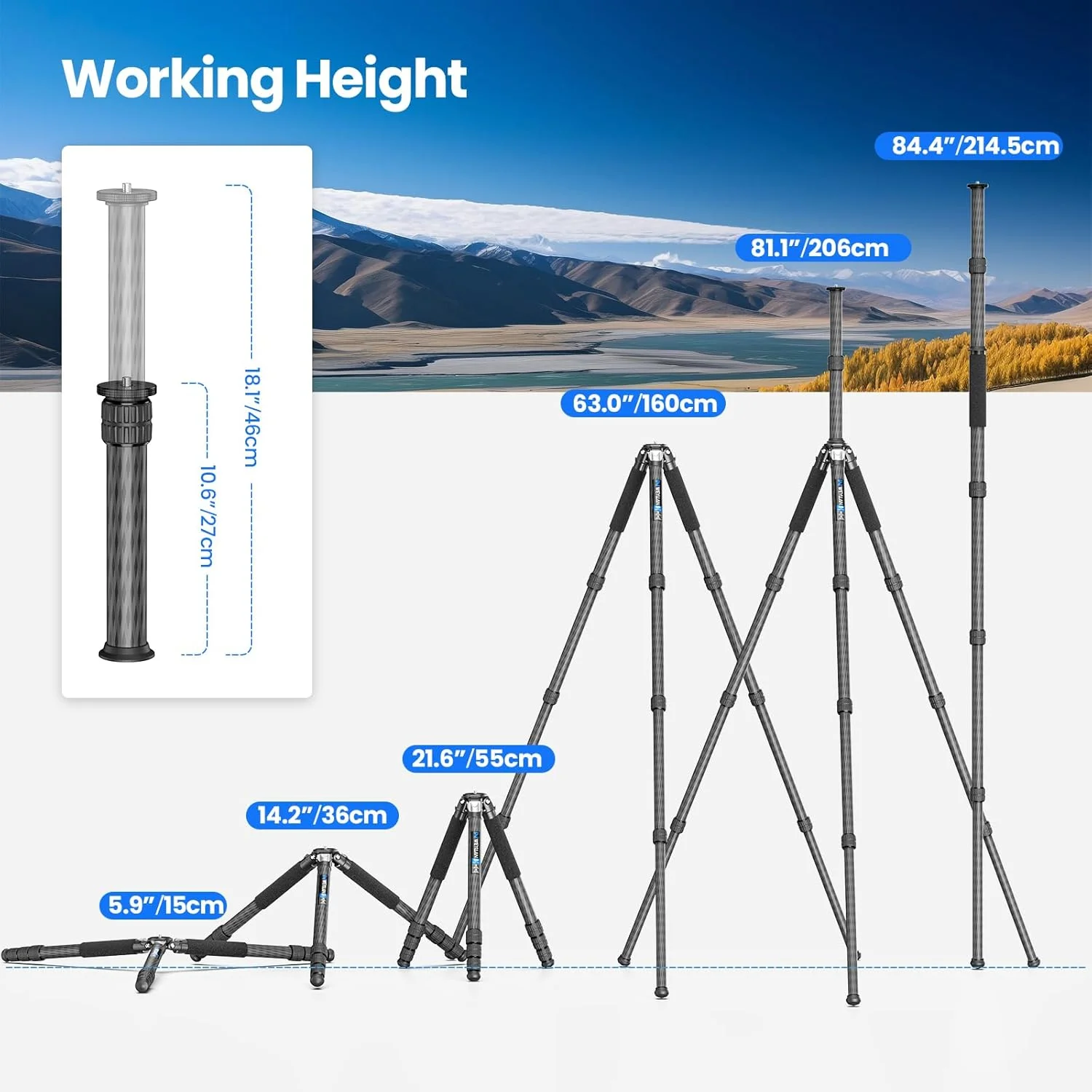سه پایه فیبر کربنی دوربین، سه پایه سنگین، سه پایه تک پایه دوربین حرفه ای با ستون مرکزی، لوله فیبر کربنی 10 لایه، WEYLLAN GX9 حداکثر قطر لوله 40 میلی متر برای دوربین DSLR لنز تله فوتو سه پایه فیبر کربنی دوربین، سه پایه سنگین، سه پایه تک پایه دوربین حرفه ای با ستون مرکزی، لوله فیبر کربنی 10 لایه، WEYLLAN GX9 حداکثر قطر لوله 40 میلی متر برای دوربین DSLR لنز تله فوتو