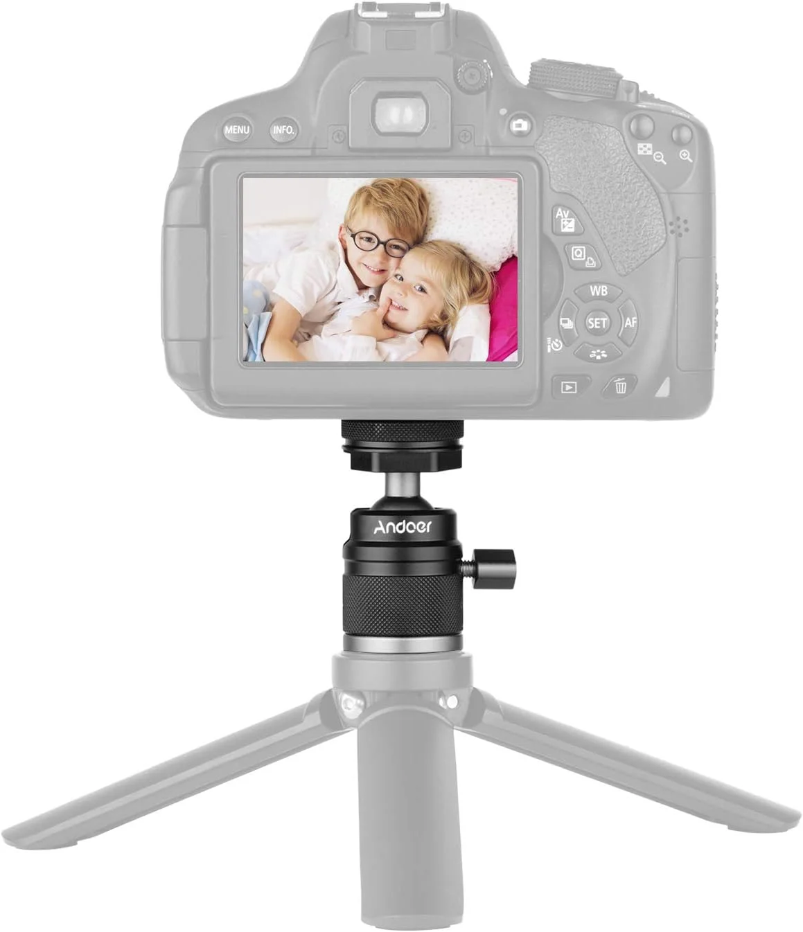 سر توپی کوچک دو منظوره Labymos 2 در 1 با مانت کفشک سرد و پیچ 1/4، چرخش 360 درجه، آلیاژ آلومینیوم، سازگار با نگهدارنده تلفن دوربین، فلاش اکسترنال، سه پایه، مونوپاد