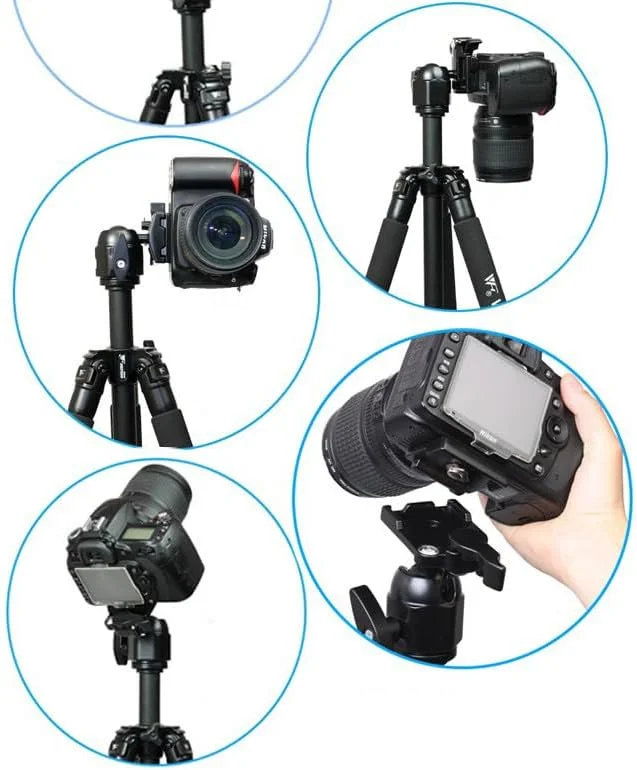 سه پایه دوربین عکاسی و فیلمبرداری AECAM - WF-6662A Fancier FT-6662A با هد توپی سه پایه دوربین عکاسی و فیلمبرداری AECAM - WF-6662A Fancier FT-6662A با هد توپی